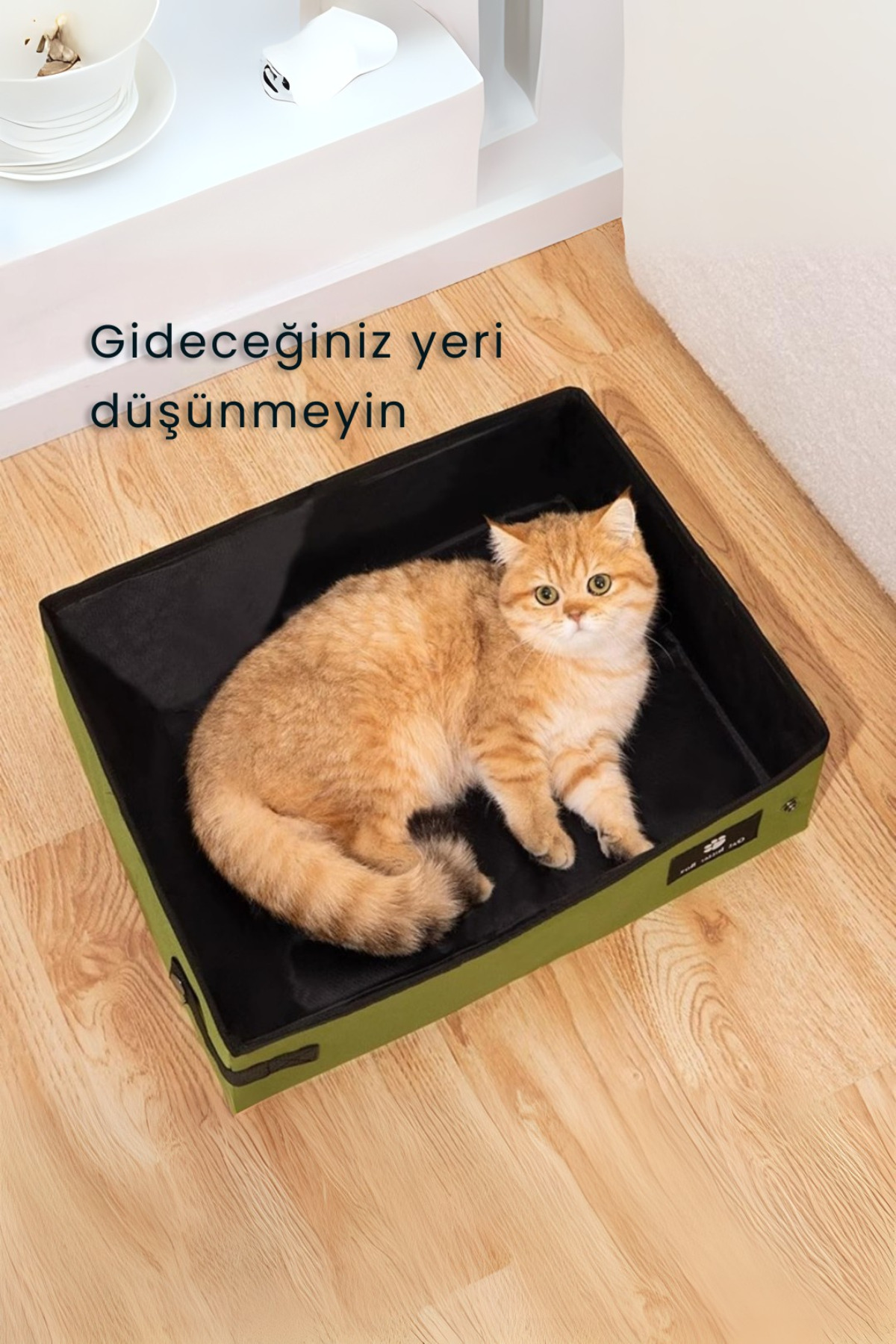 ظرف خاک گربه تاشو و ضدآب کولیز Coolizz، سبز، مدل CLZZTKT