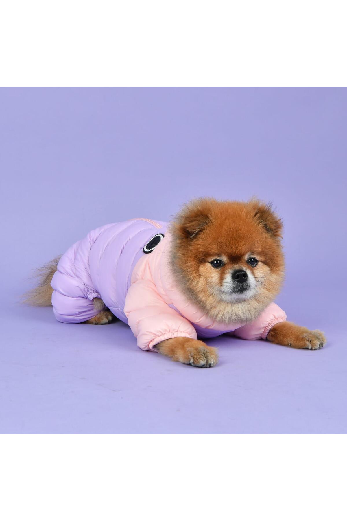 سرهمی سگ پوپیا Puppia Ultra Light Pastel