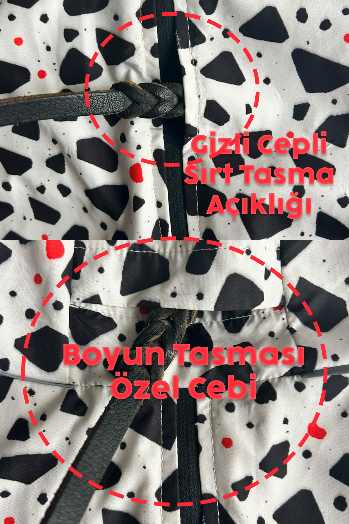 بارانی ضدآب سگ موآب Moab Dry مدل DRYPACK-NOVA چندرنگ
