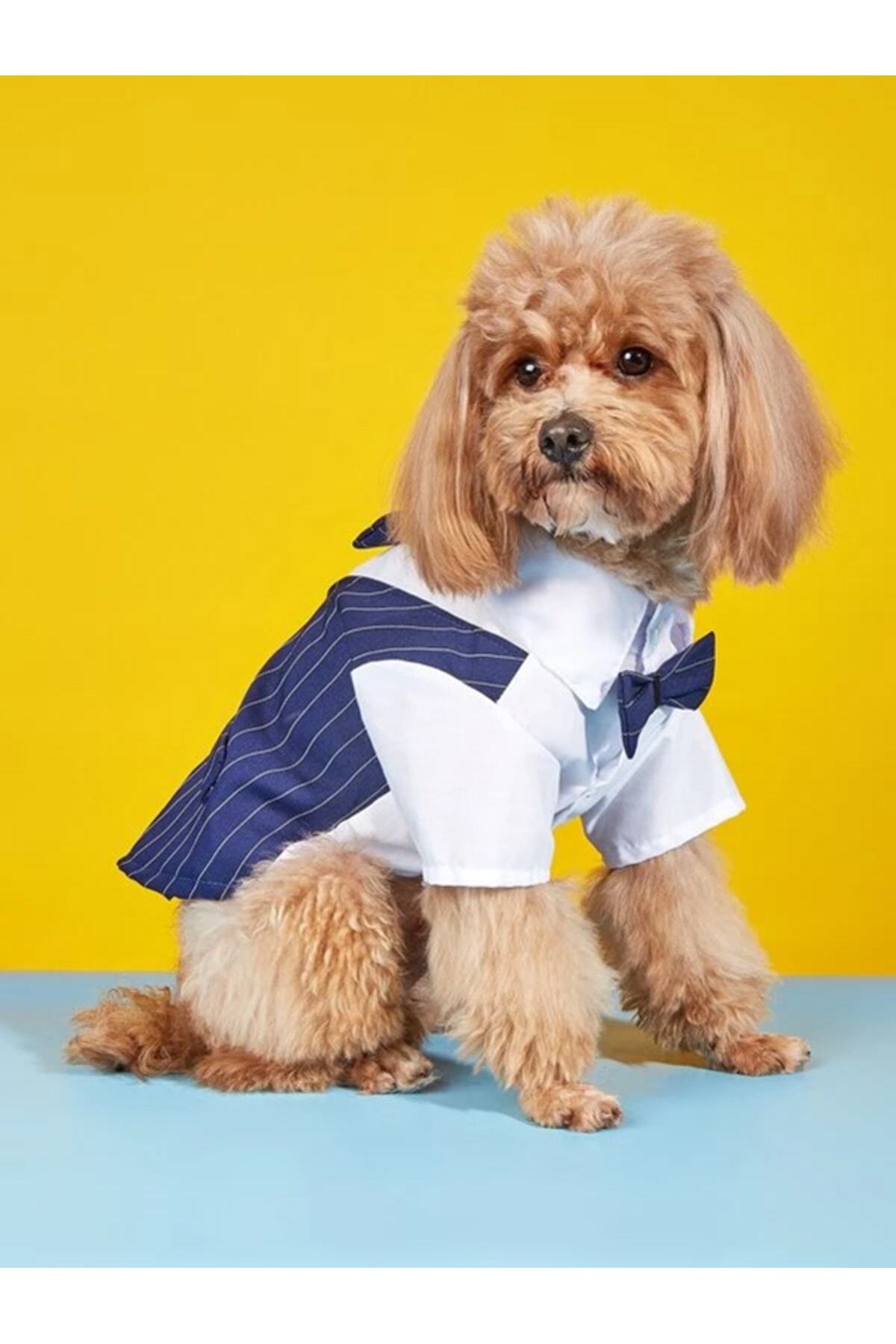 لباس سگ دولچه پتس Dolce Pets مدل DT001، سرمه‌ای