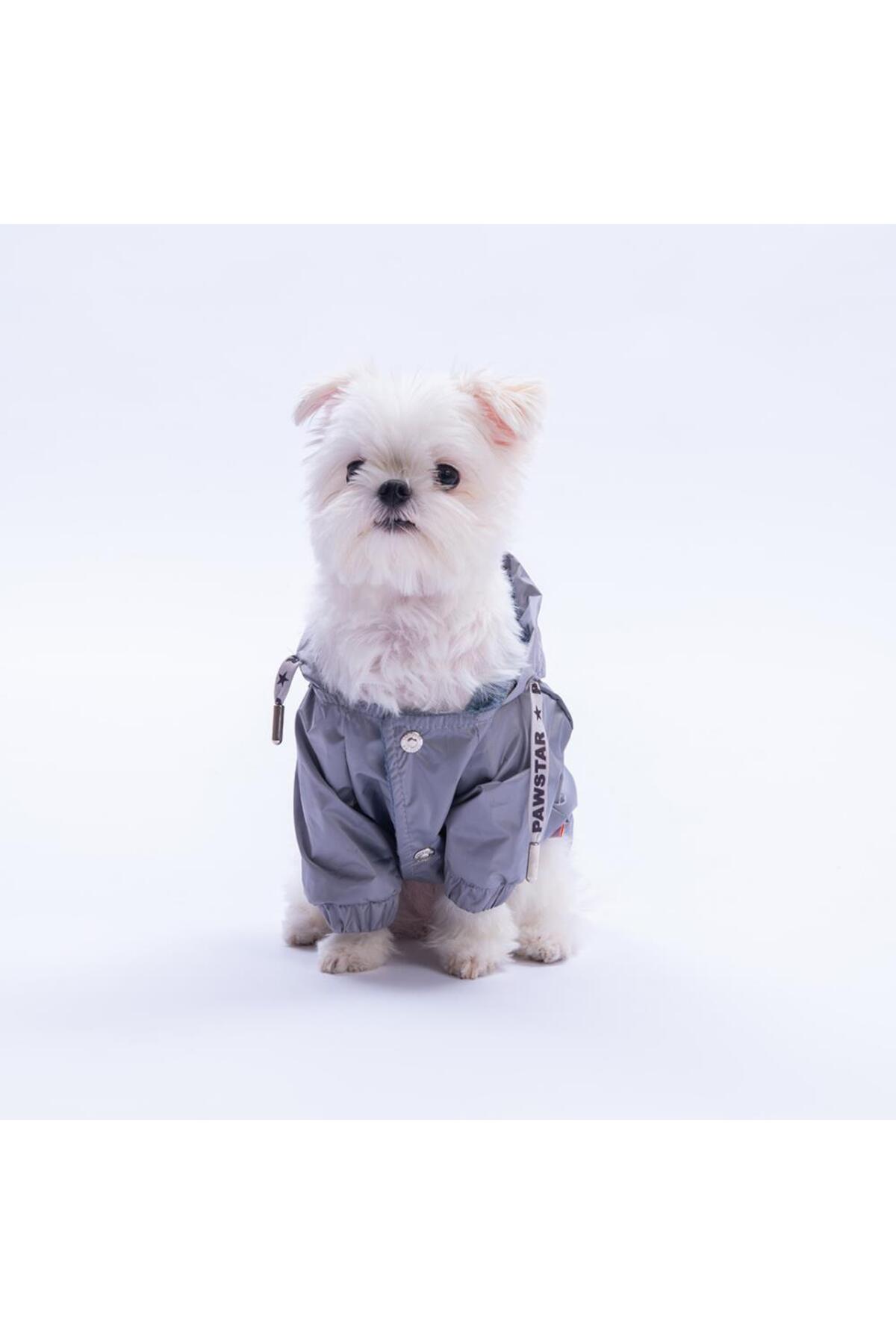 بارانی سگ پاوستار Pawstar Pluvia v25، خاکستری