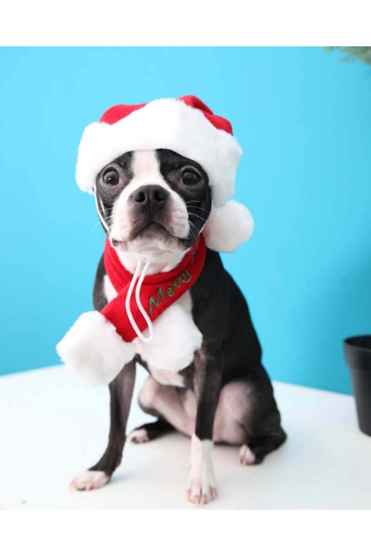 لباس سگ پلار قرمز پوپیا Puppia Santa's Hat مدل PDDF-SH23