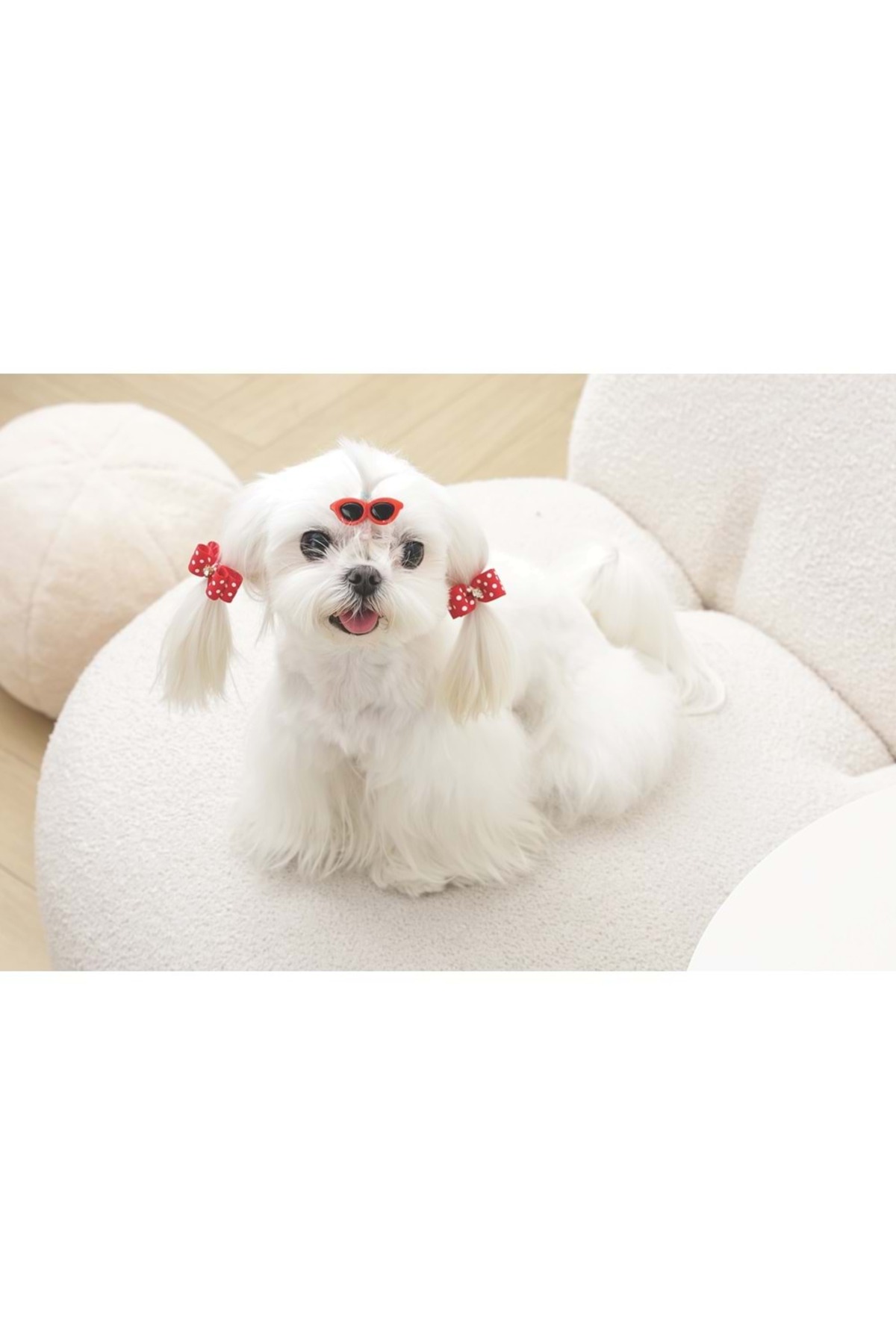 گیره پاپیونی سگ ام‌پتس M-PETS Glam، قرمز، مدل 60900299