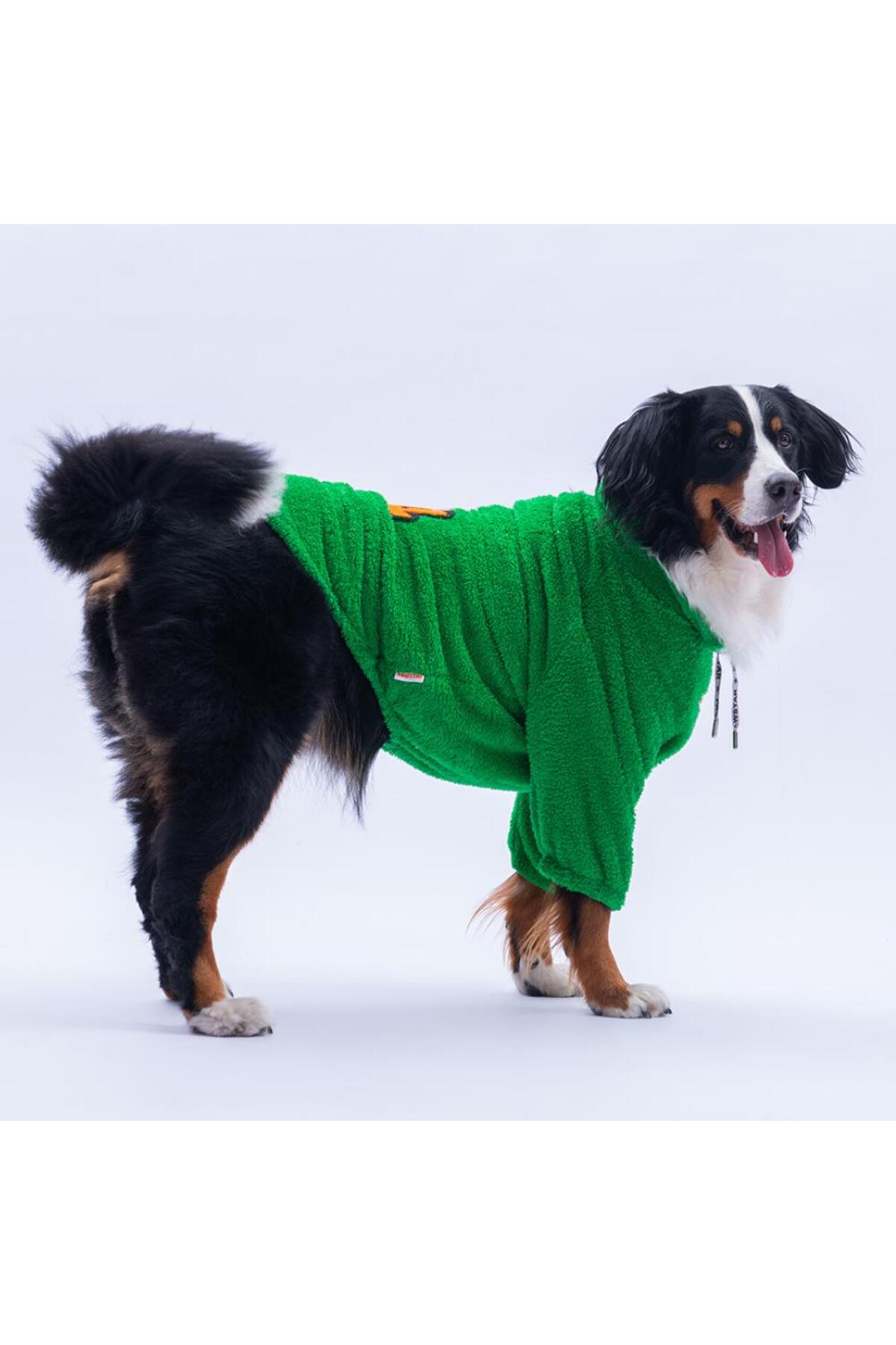 سویشرت پولیشی سگ پاوستار Pawstar Oslo Chill Urban Moods سبز مدل PS25-1099
