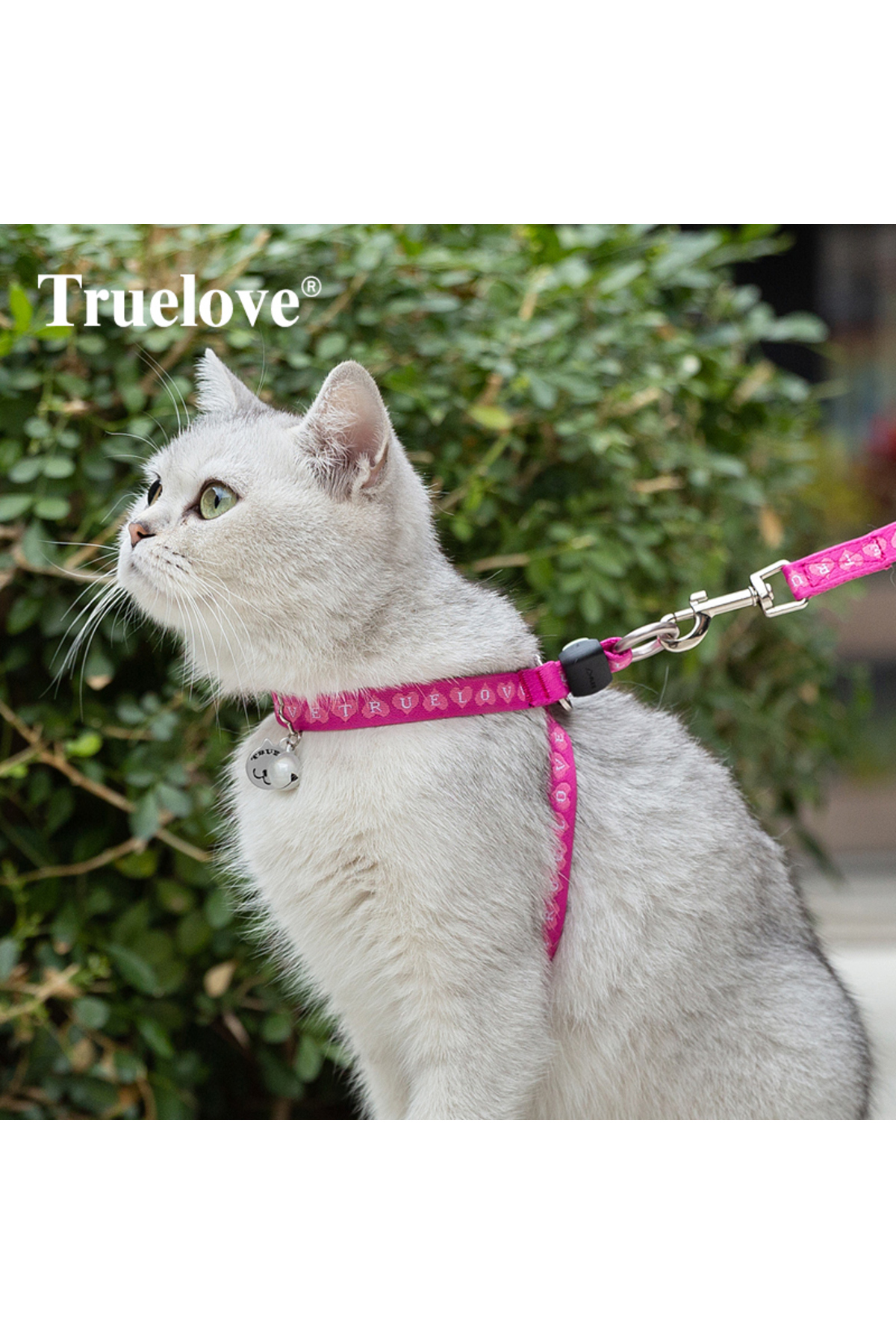 قلاده سینه‌ای و بند گربه صورتی زنگوله‌دار ترو لاو True Love مدل PKEGT-002
