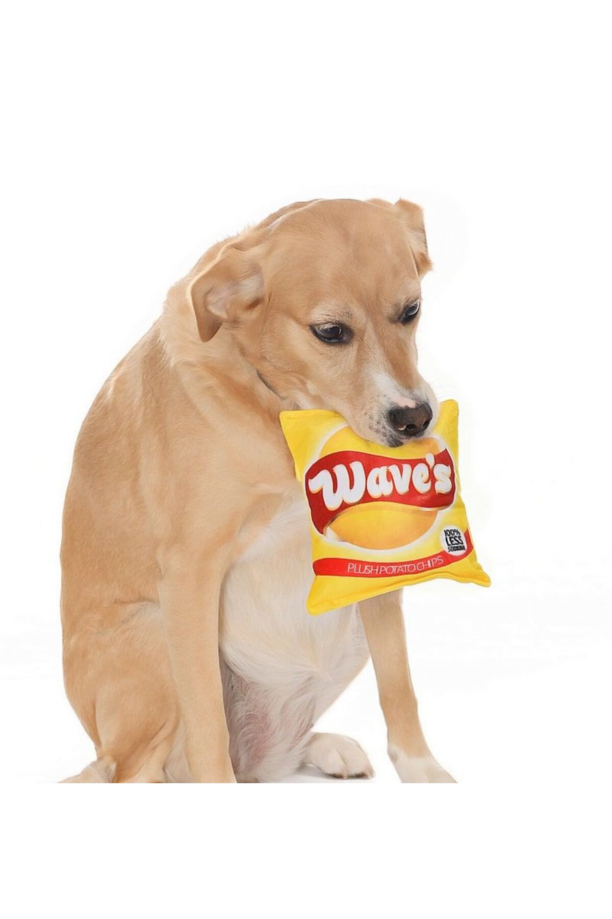 اسباب‌بازی سگ پتزا Petza Wave's Chips، رنگارنگ