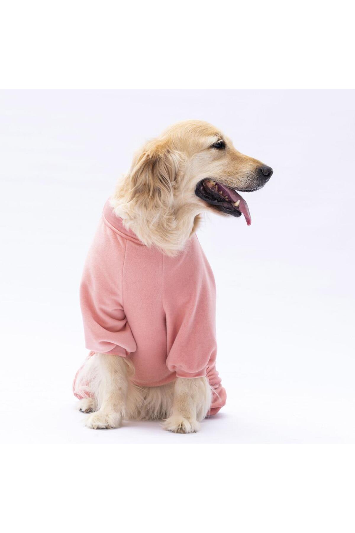 لباس سرهمی سگ نژاد بزرگ پاوستار Pawstar مدل Rose Angers، صورتی