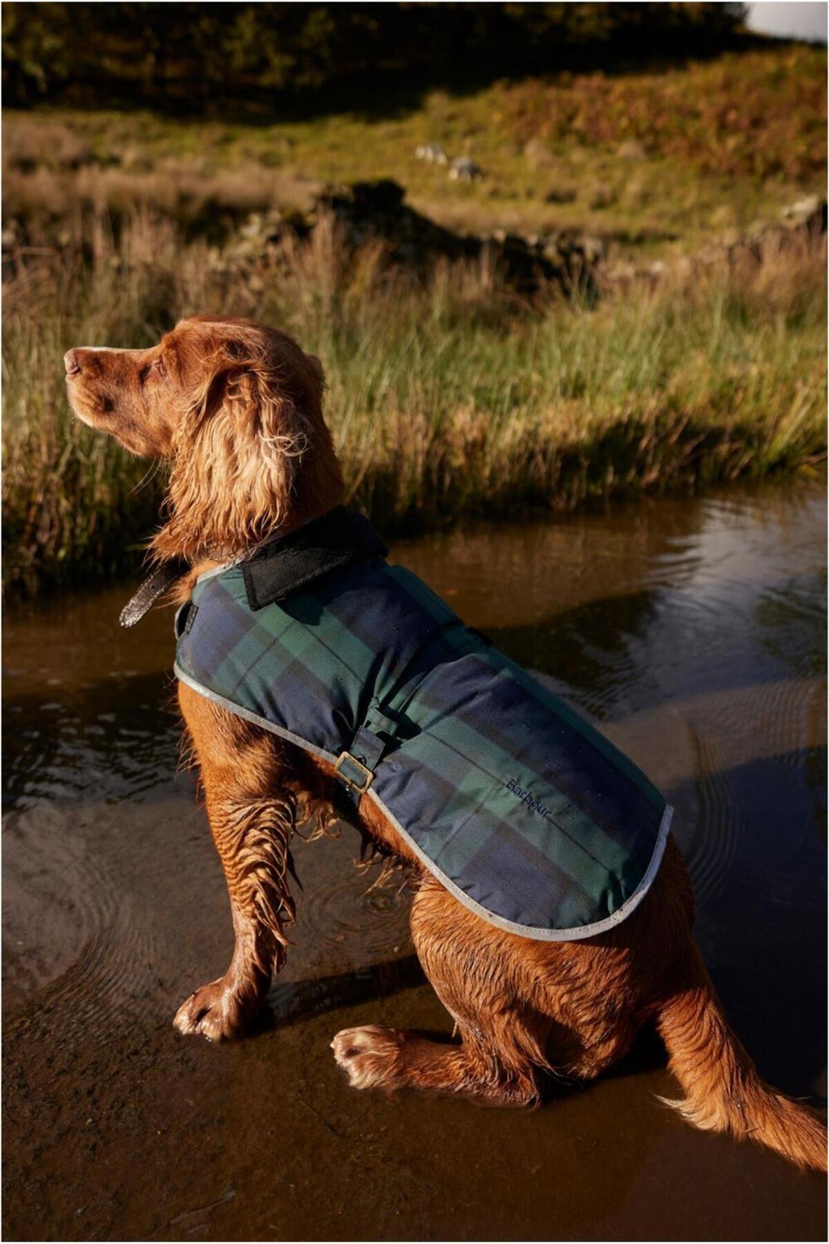 کاپشن سگ باربور Barbour Wetherham چهارخانه NY91 Blackwatch Tartan، سبز