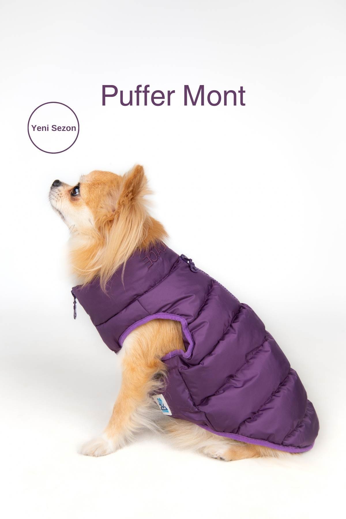 کاپشن پافر ضدآب سگ سالیا استور Salya Store مدل Puffer-Mont، بنفش