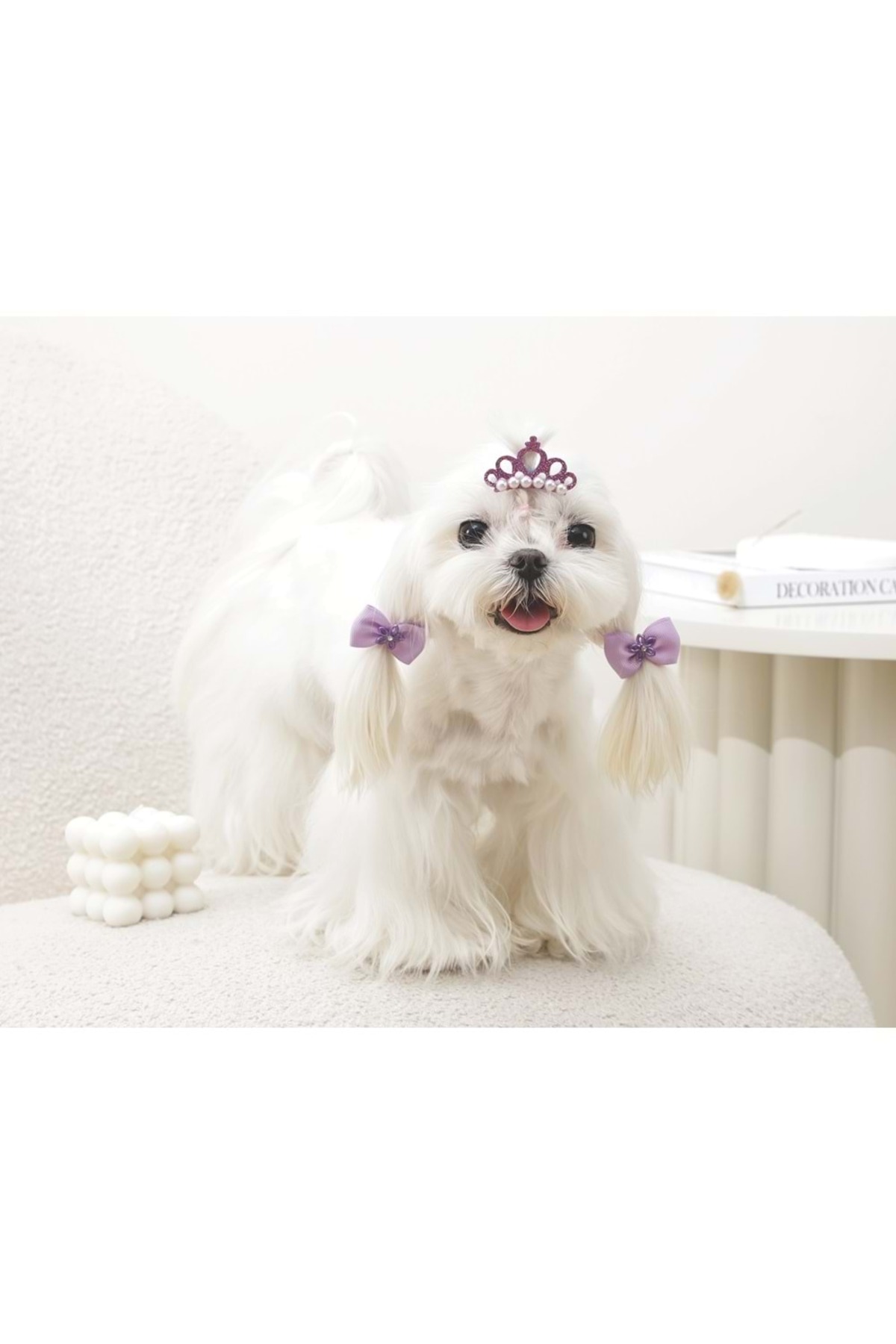 اکسسوری پاپیونی سگ ام‌پتس M-PETS GLAM بنفش، مدل 60900099