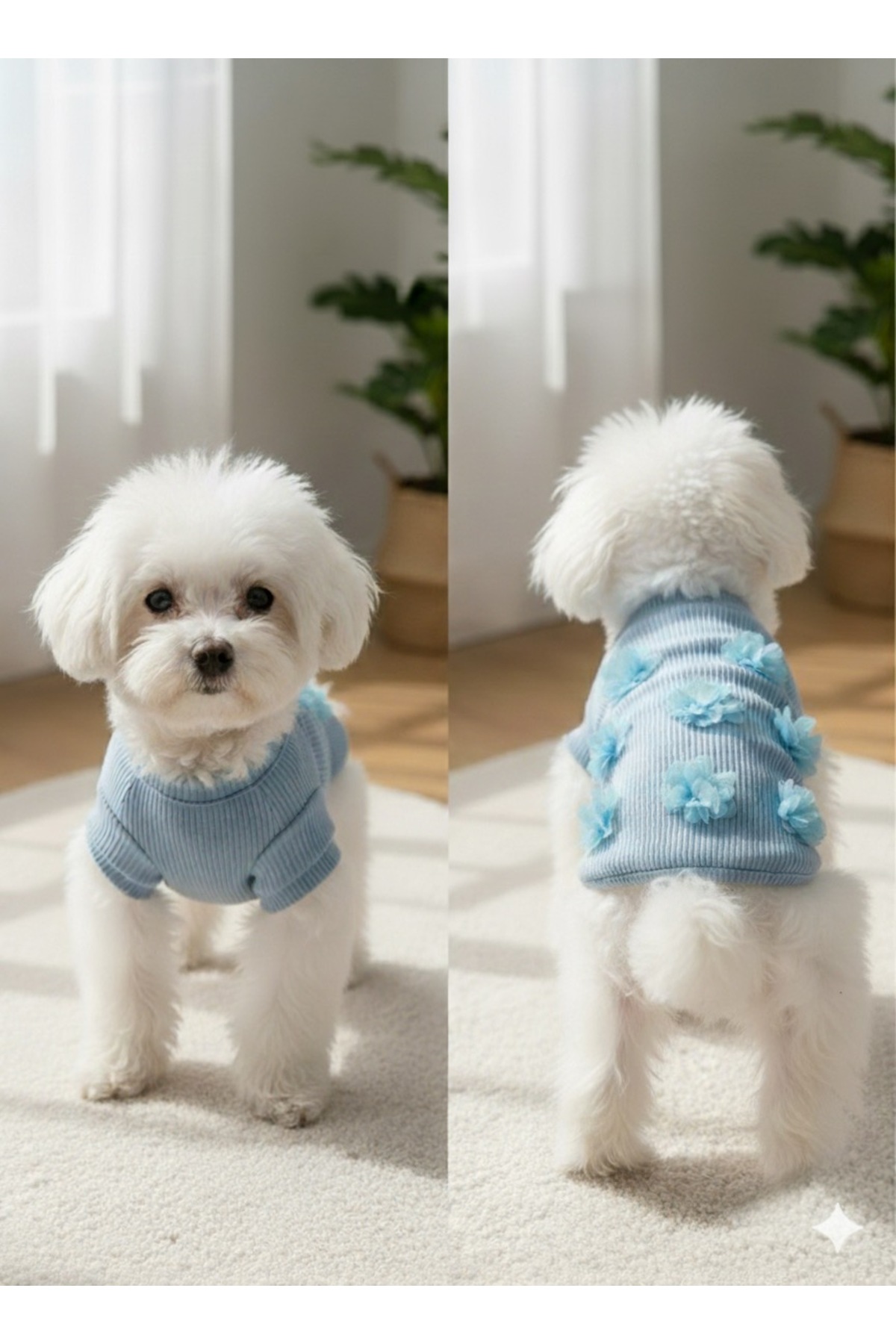 لباس سگ اورجینال PUPPY PARTY
