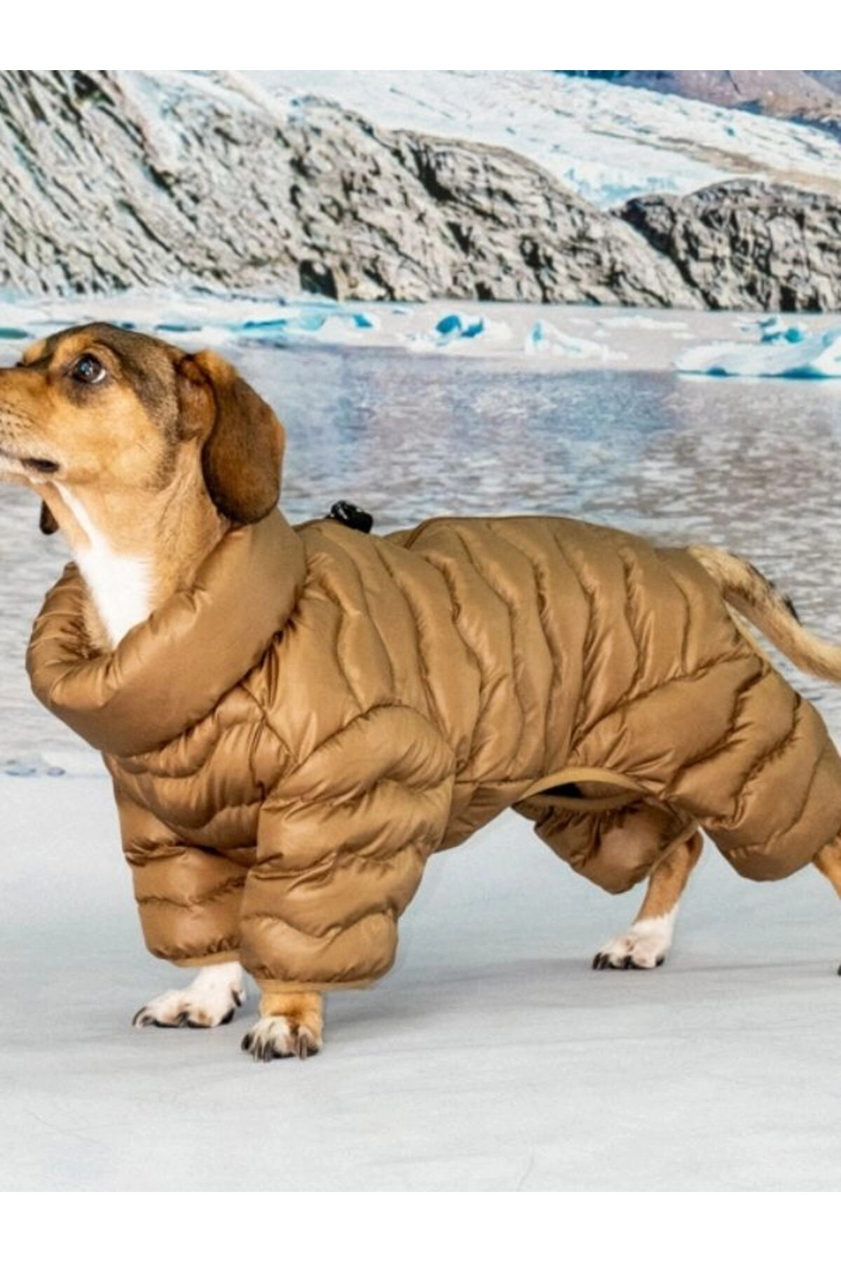 کاپشن سگ پوپیا Puppia مدل Wavy Puffer Suit (PAZD-UP2263)، قهوه‌ای