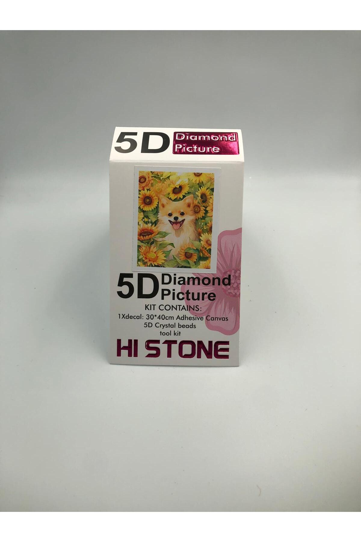 پازل 30X40 BEADED STONE PROCESSING MOZAIC DIAMOND TAPESTRY PAINTING تصویر مهره الماس نقاشی سلام سنگ از ترکیه DUCK HOBY