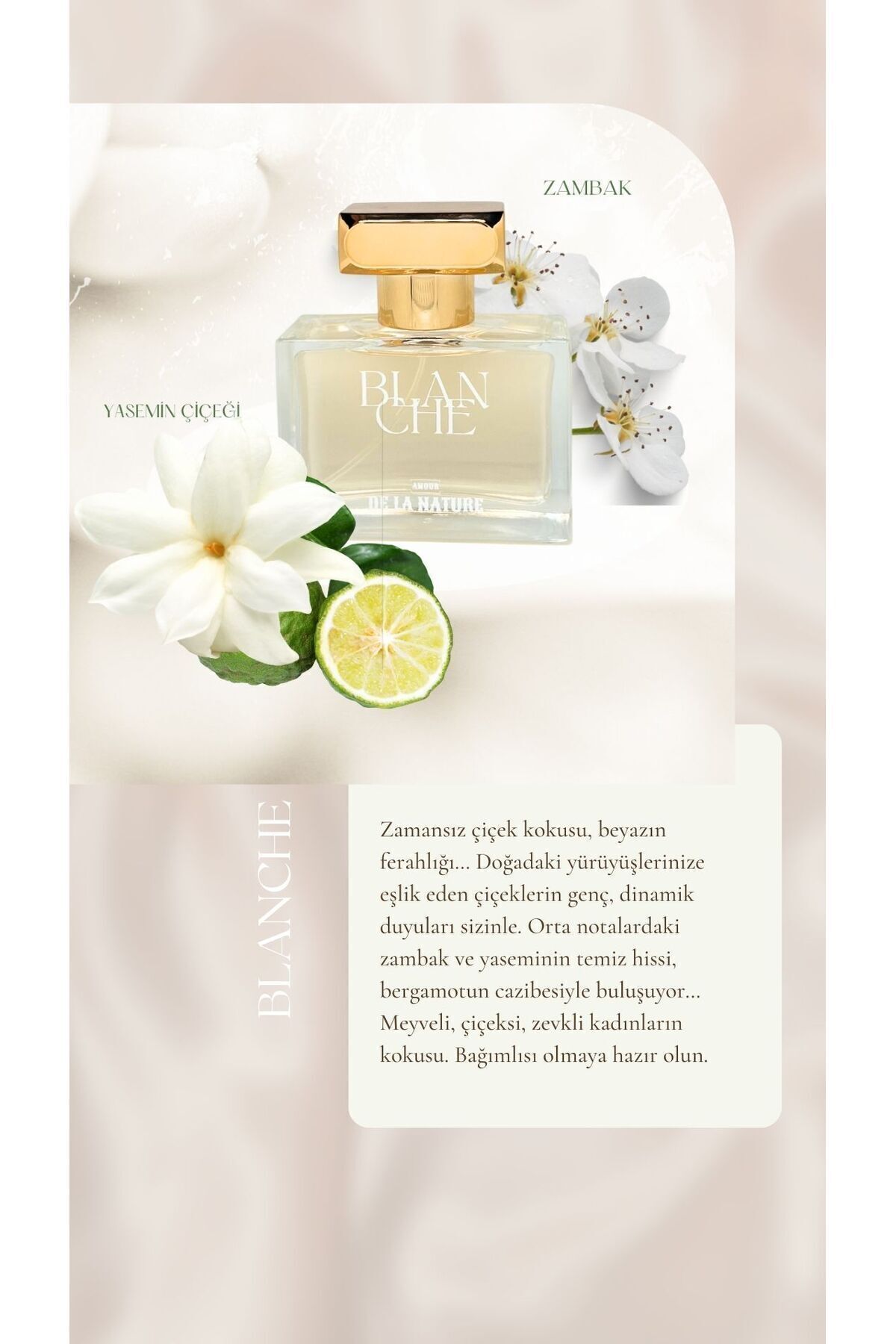 عطر زنانه بلانچ 50 میل ادوپرفیوم AMOUR DE LA NATURE