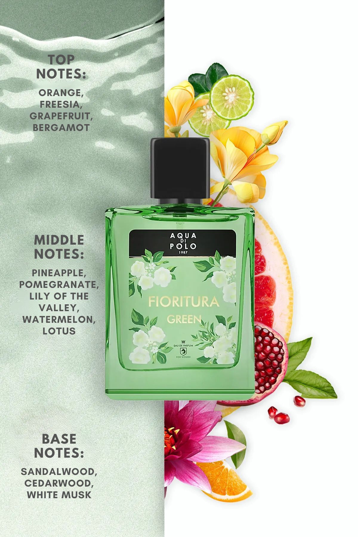 Aqua Di Polo 1987 عطر زنانه با رایحه گیاهان و میوه های تازه 50 میلی لیتری