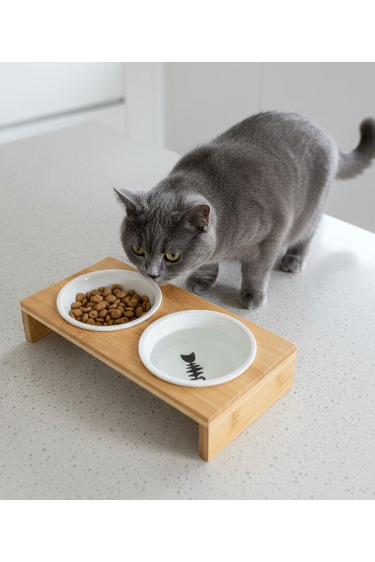 ظرف سرامیکی غذا و آب گربه پتزا Petza PurrFish، کد 1115142 رنگی