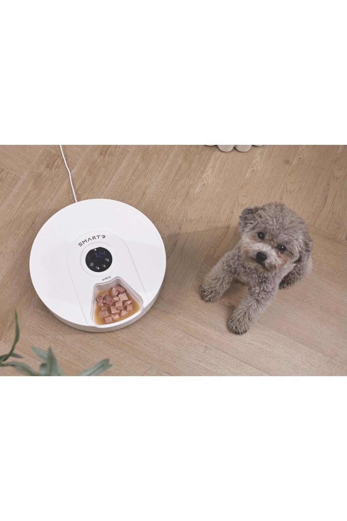 ظرف غذادهی خودکار خنک‌کننده ۶ بخشی SMARTO M900 ام‌پتس M-PETS