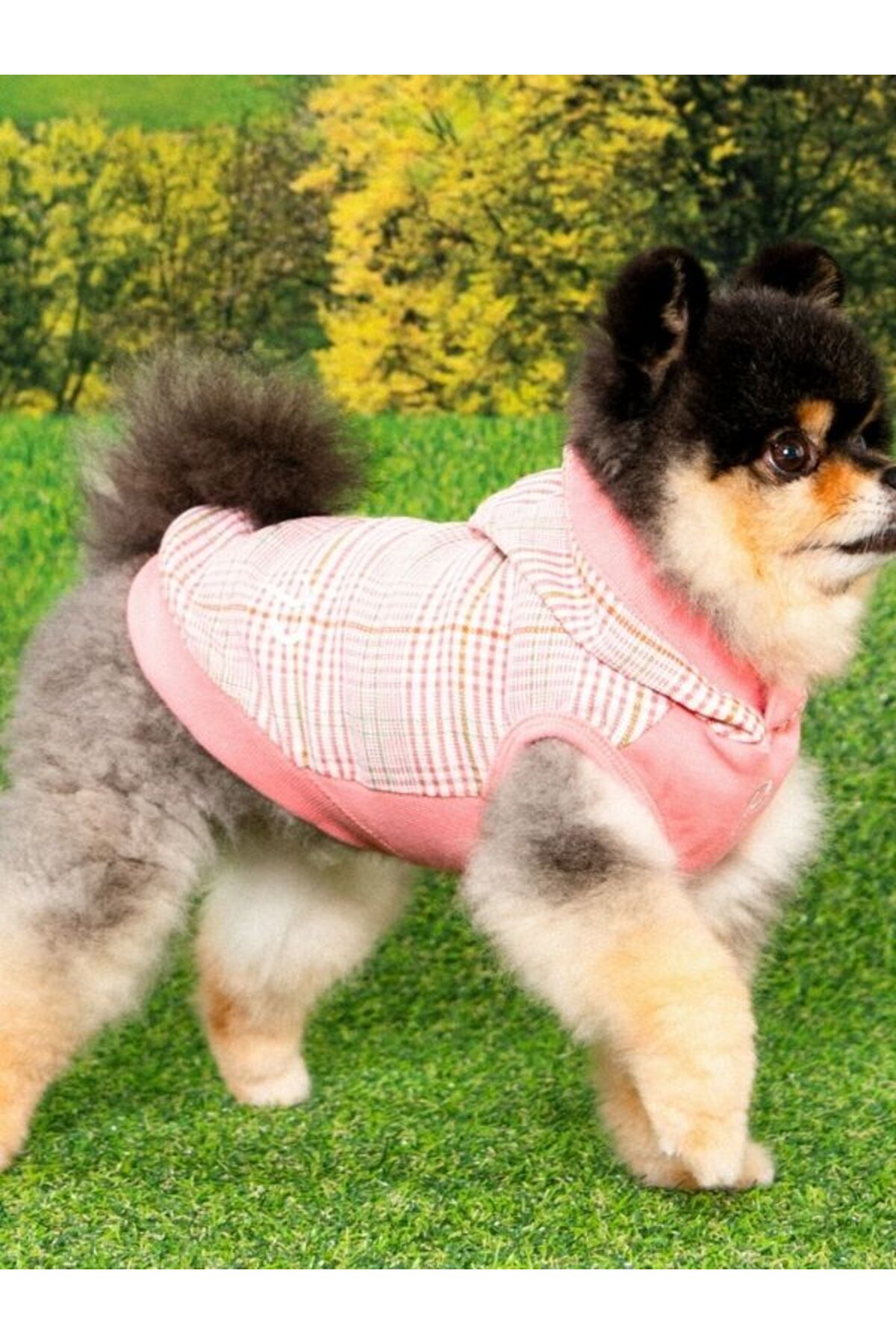 هودی سگ Daylan پوپیا Puppia، صورتی، مدل PAZA-TS2176