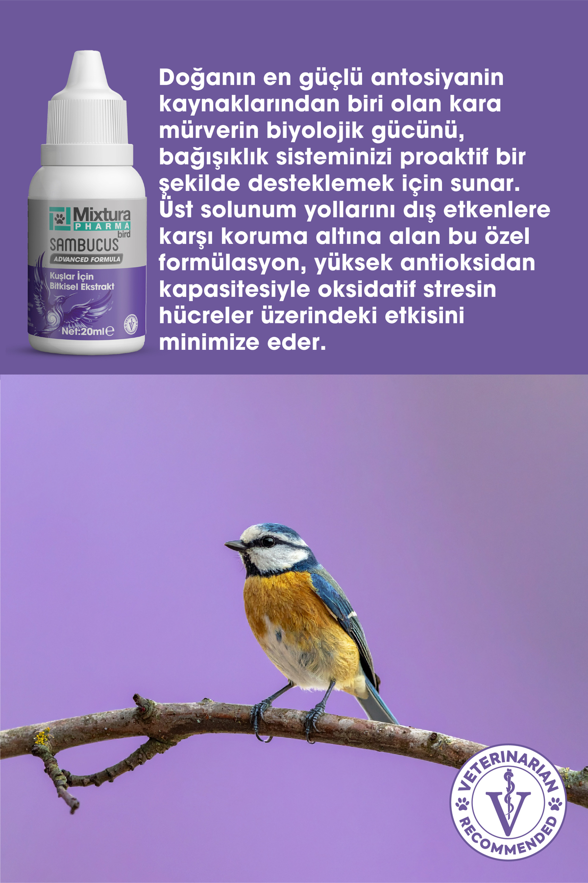 محصول سلامت پرندگان میکستورا فارما Mixtura Pharma BİRD SAMBUCUS، مدل 28000