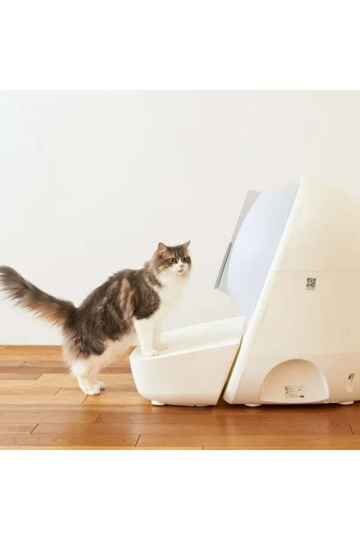 پله توالت گربه کتلینک Catlink Scooper سفید، مدل ST04174
