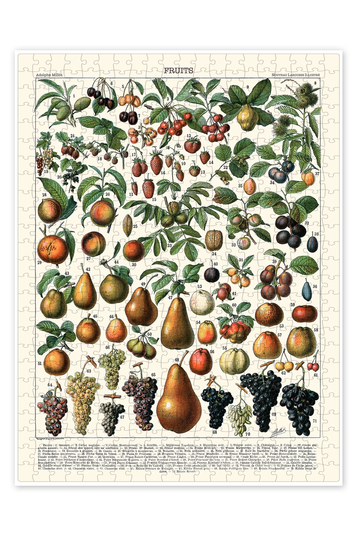 پازل FRUITS 1923 فرانسوی 500 تکه اره منبت کاری مویی آشپزخانه با تم برای بزرگسالان Jeronkarji