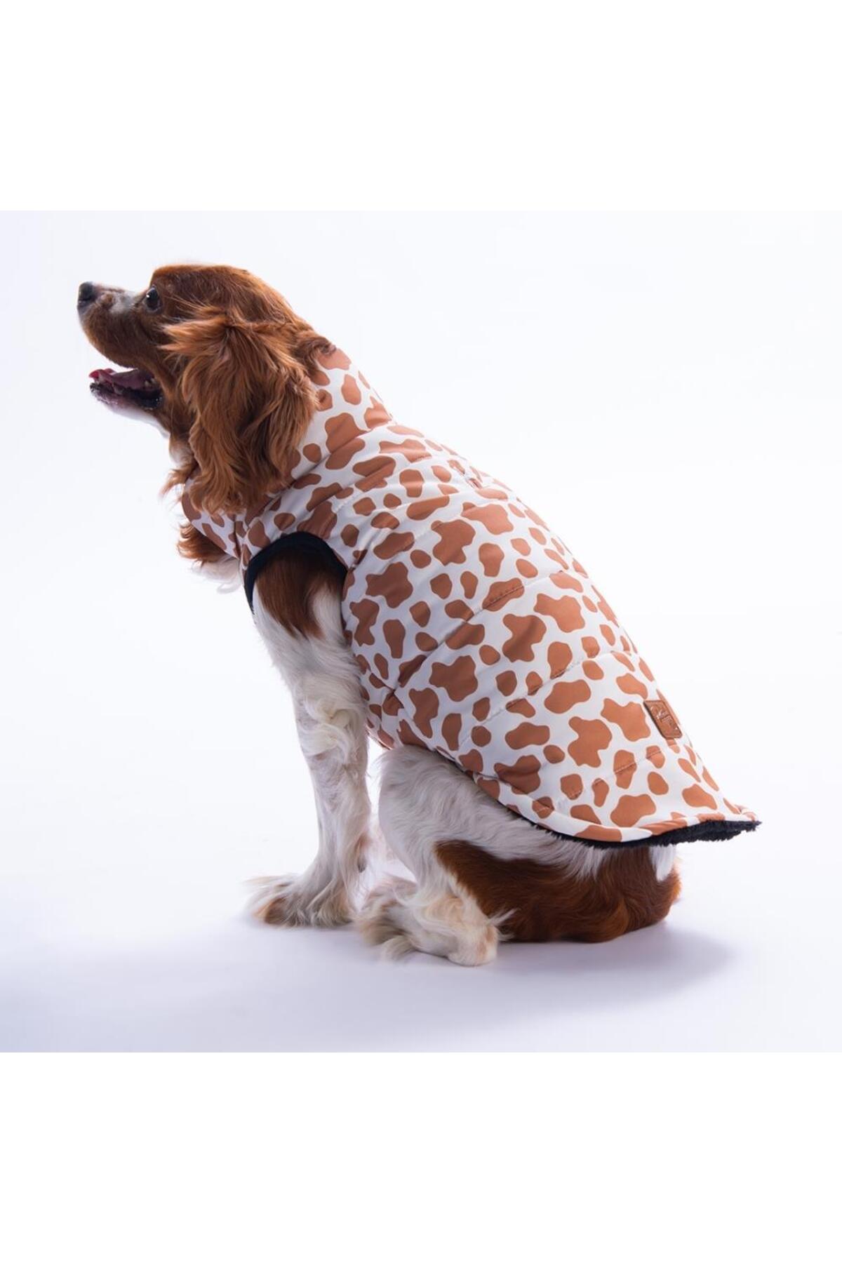 جلیقه سگ طرح زرافه پاوستار Pawstar Moshi Mood مدل 25108 چندرنگ