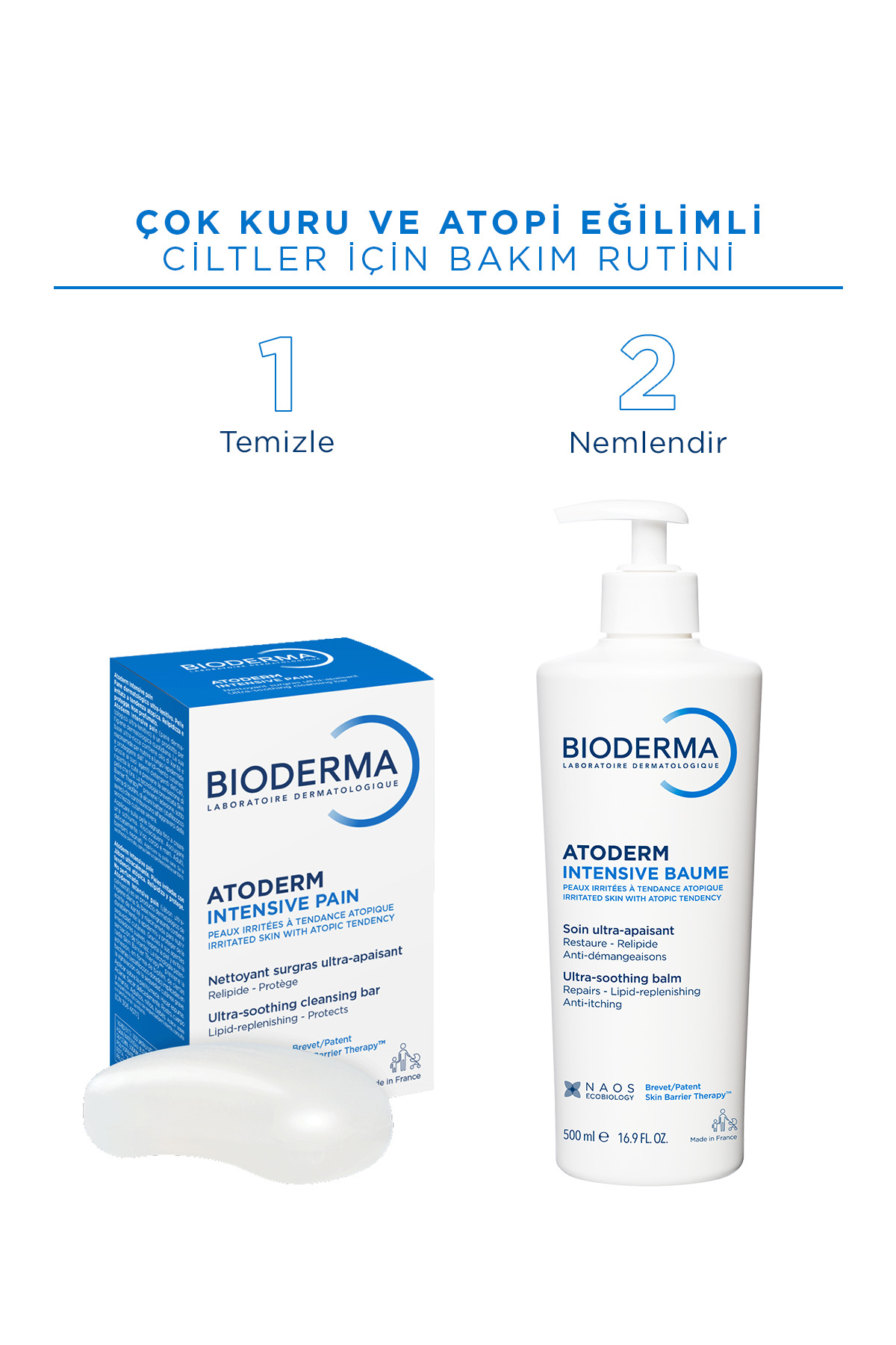 پن پاک کننده صورت مدل  Atoderm Intensive بایودرما Bioderma