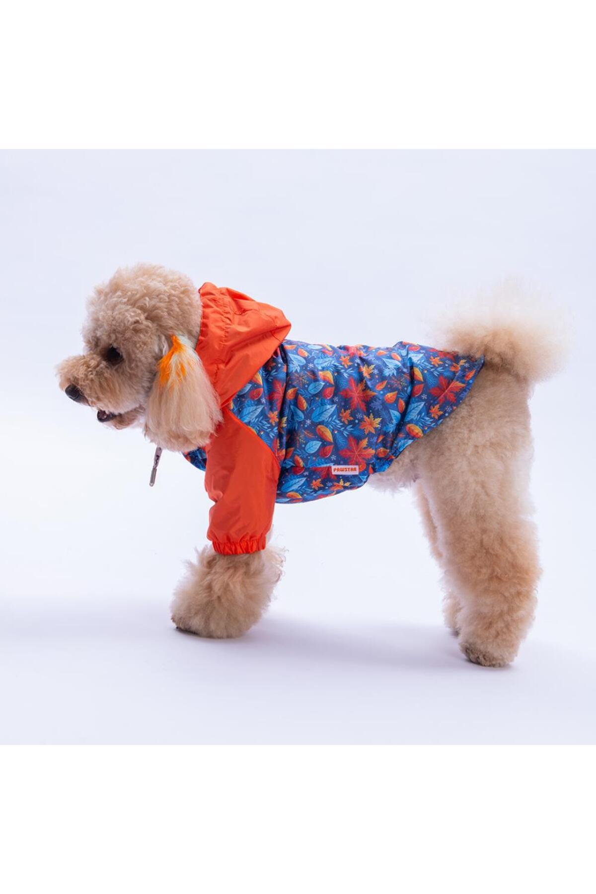 بارانی سگ پاواستار Pawstar مدل Amsterdam Fall با طرح برگ نارنجی