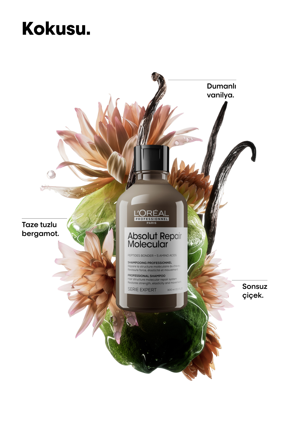 L'oreal Professionnel شامپو مولکولی مجوز مولکولی مجوز تعمیر مطلق سری Expert برای همه انواع موها