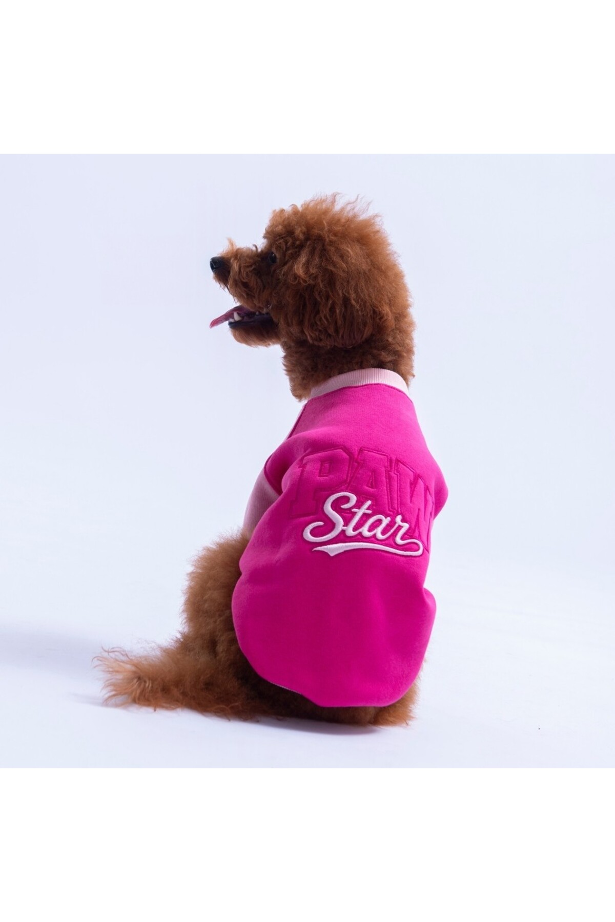 سویشرت سگ Boston به رنگ فوکسیا، پاوستار Pawstar