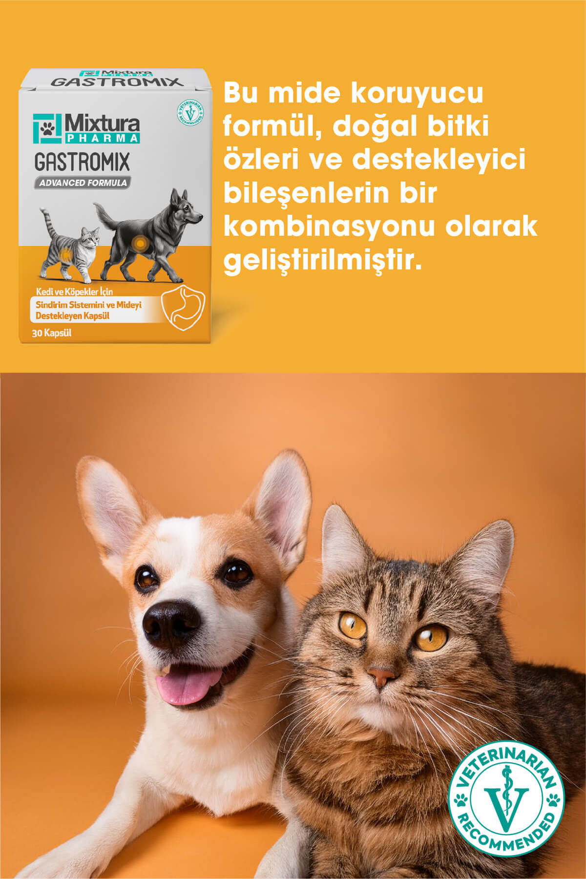 قرص گاسترومیکس برای گربه و سگ، پشتیبان معده و دستگاه گوارش، میکسچورا فارما Mixtura Pharma مدل MT5000