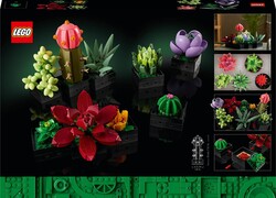 مجموعه ساختنی ساکولنت‌های لگو LEGO بوتانیکال کالکشن، ۷۷۱ قطعه، مدل ۱۰۳۰۹، مناسب ۱۸ سال به بالا