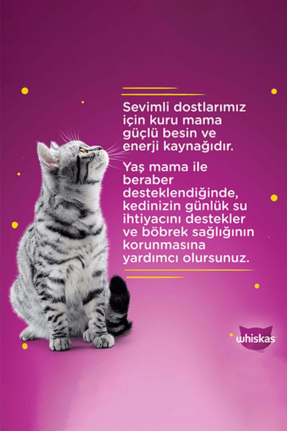 غذای تر کنسروی گربه ویسکاس Whiskas با طعم ماهی تن، ۱۲ قوطی ۴۰۰ گرمی