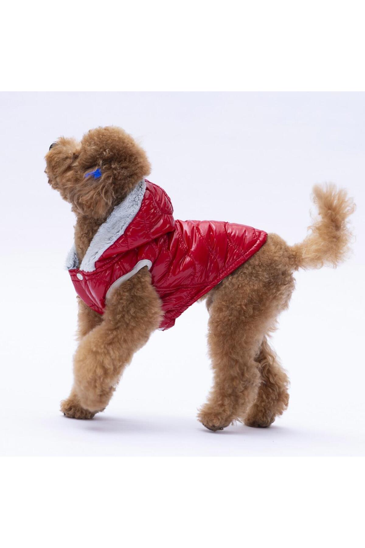 جلیقه بارانی سگ پاواستار Pawstar Light Wave Anorak مدل LW2310، قرمز