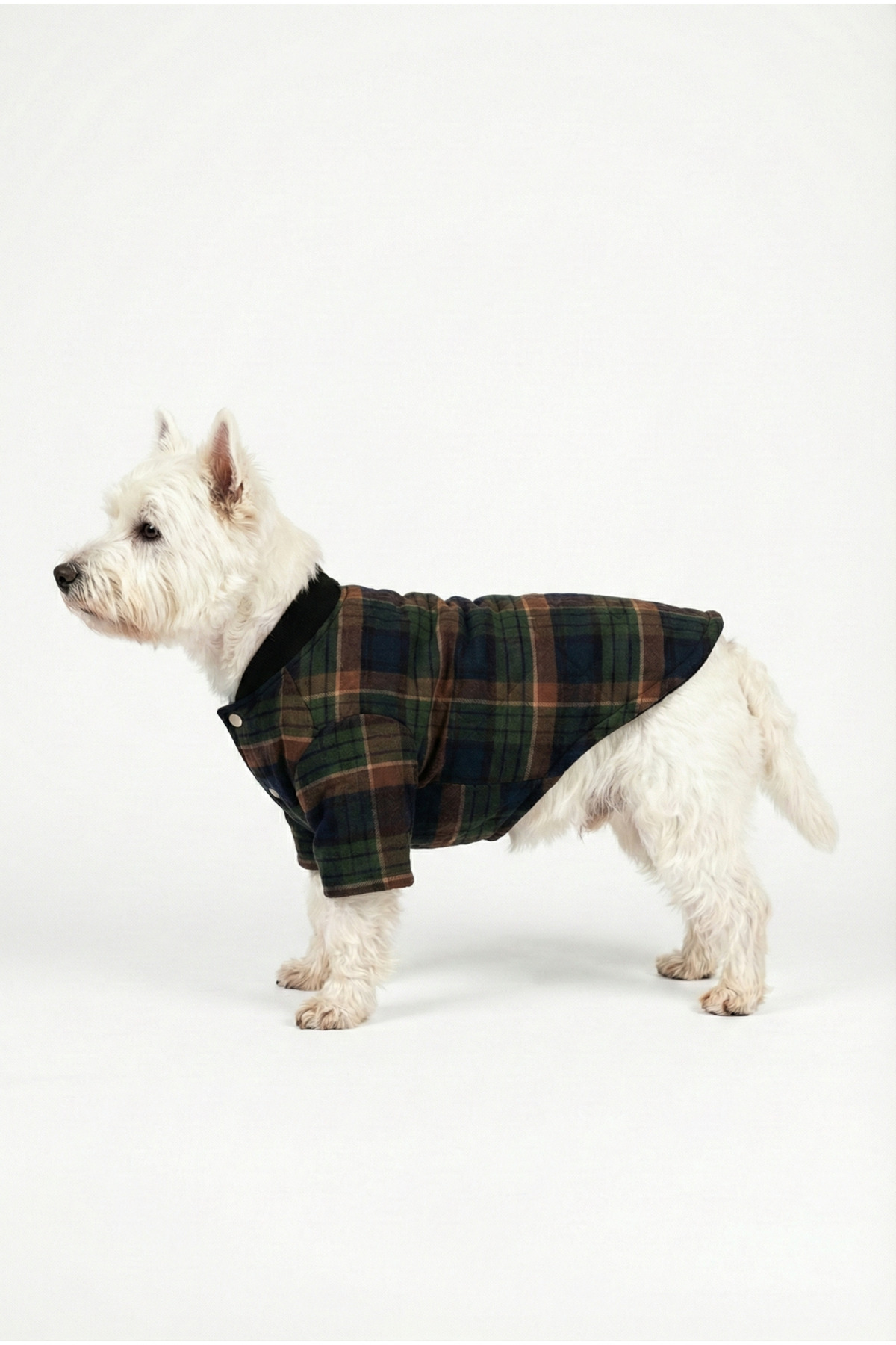 کاپشن زمستانی سگ طرح چهارخانه سبز، یقه کالجی و دکمه فشاری نوبل‌داگ NobleDog چندرنگ