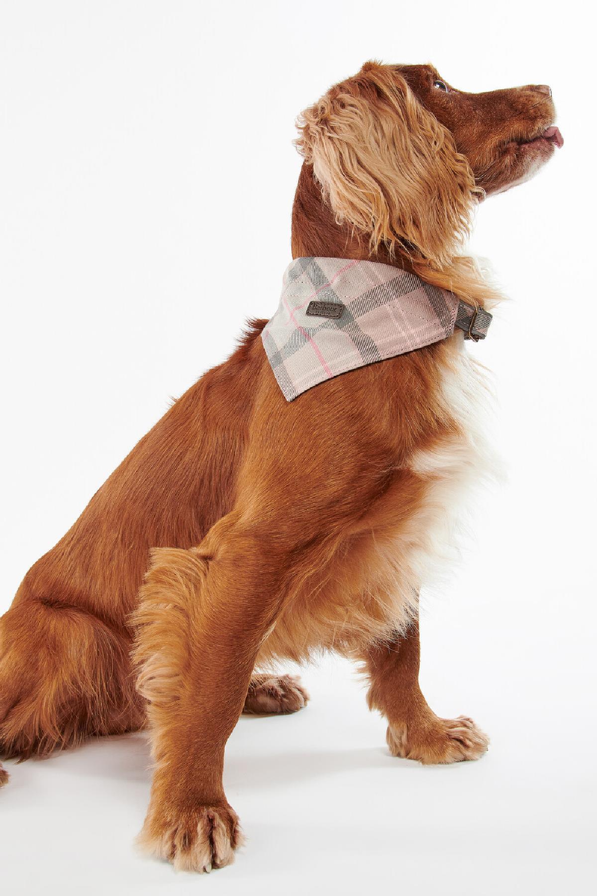 دستمال گردن سگ باربور Barbour مدل DAC0013-BE91، طرح تارتان تاپ و صورتی