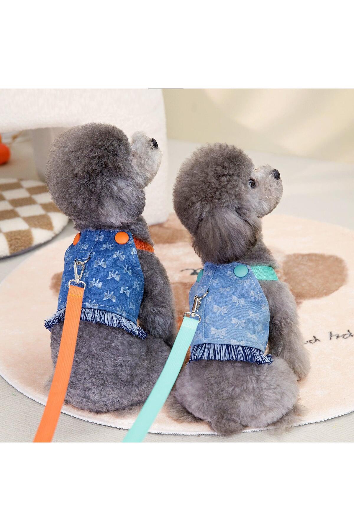 کت جین قلاده‌دار سگ و گربه دولچه پتس Dolce Pets مدل DPTK001