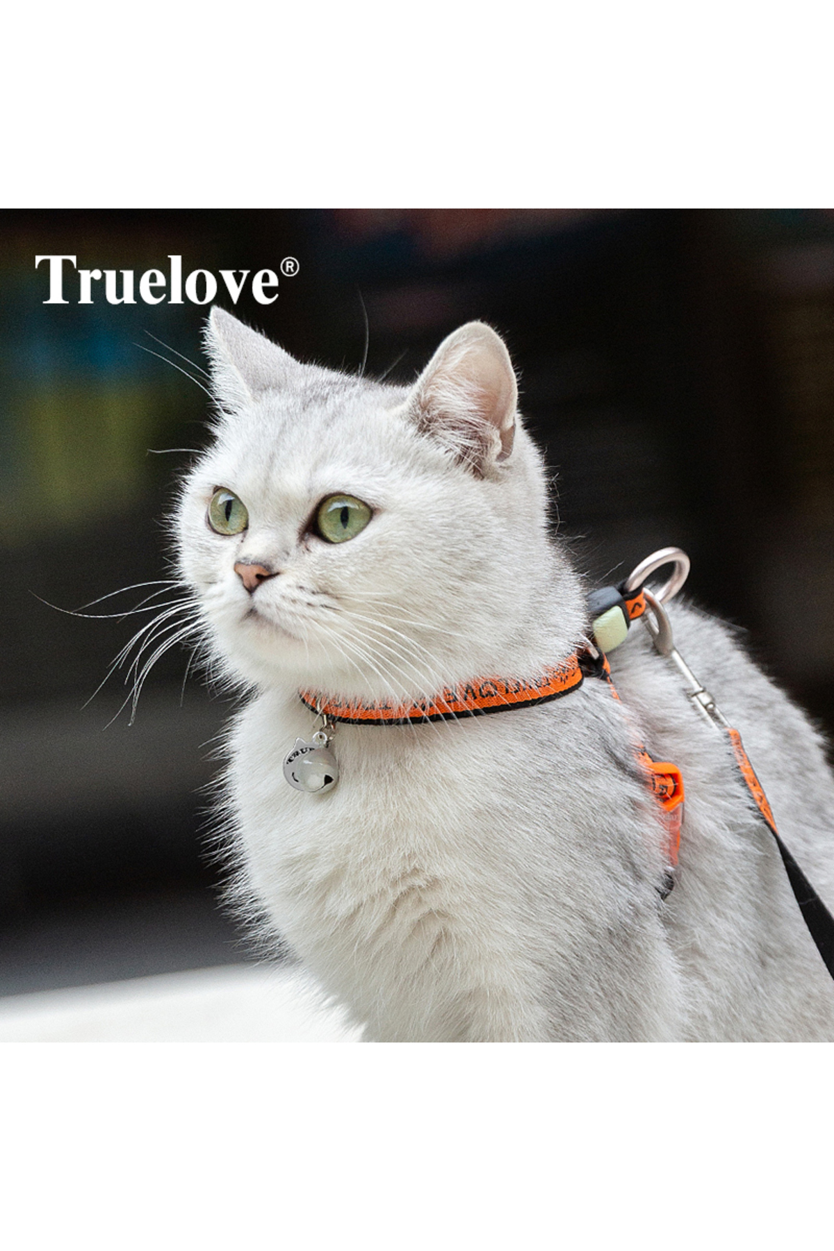 قلاده سینه‌ای و بند نارنجی گربه ترو لاو True Love مدل TKEGT-002