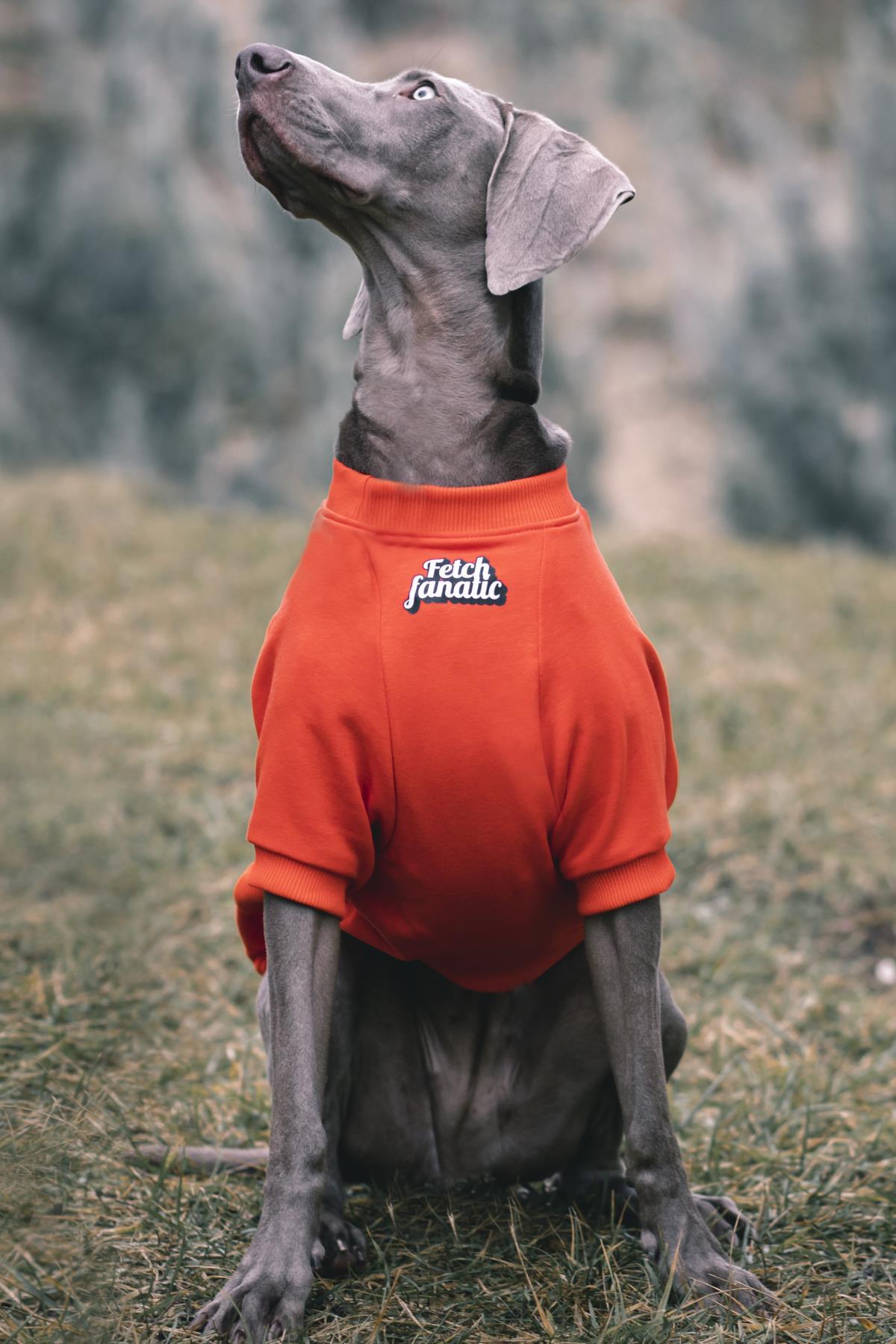 سویشرت سگ قرمز Fetch Fanatic از آسکی‌اندارد Asky&Erd، مجموعه «I am» Sweatshirts Collection