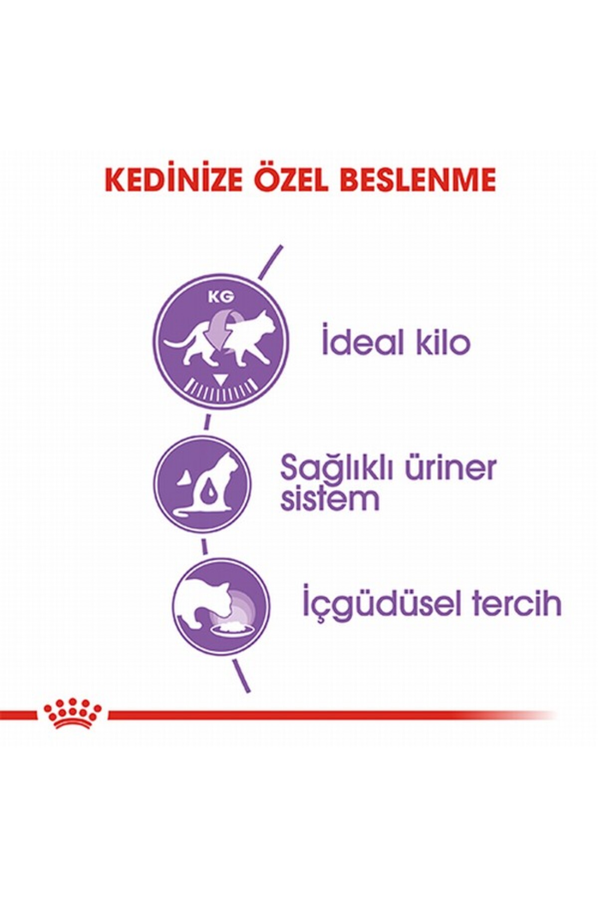 غذای تر گربه عقیم‌شده با ژله رویال کنین Royal Canin، ۸۵ گرم