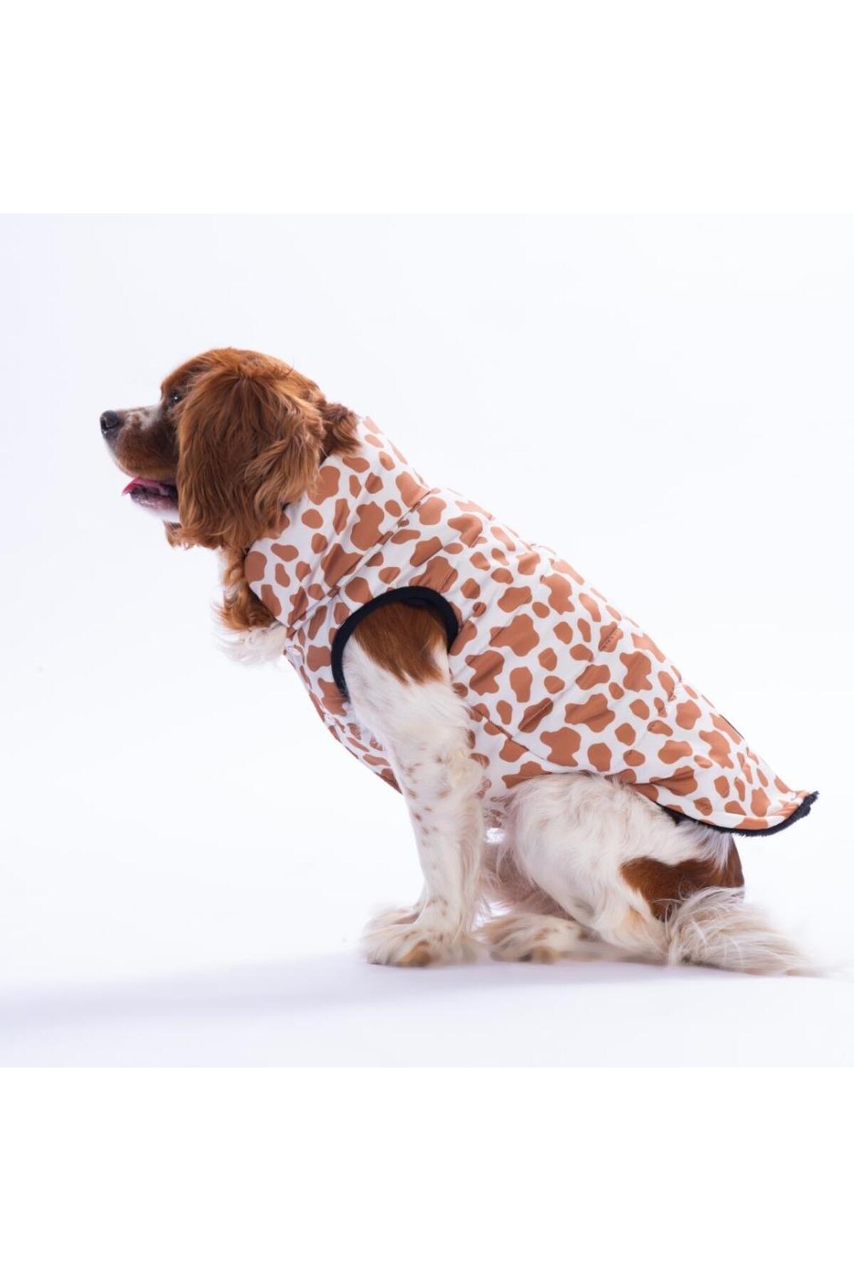 جلیقه سگ طرح زرافه پاوستار Pawstar Moshi Mood مدل 25108 چندرنگ