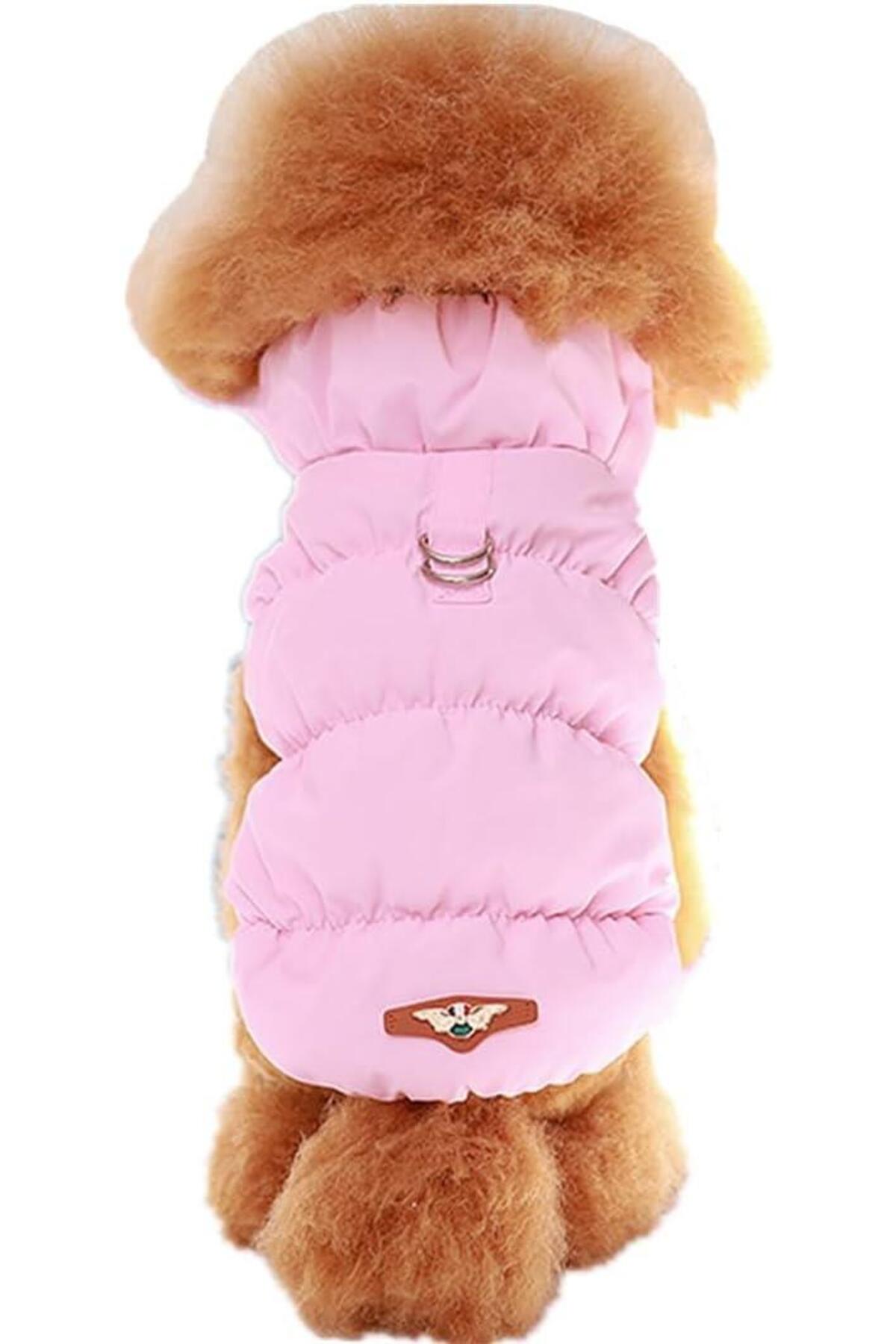 کاپشن سگ صورتی چیک‌داگ Chicdog