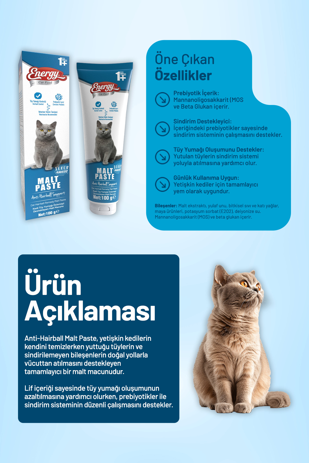 خمیر مالت گربه بالغ کت فود انرژی Cat Food Energy، ۱۰۰ گرم، بسته ۴۸ عددی