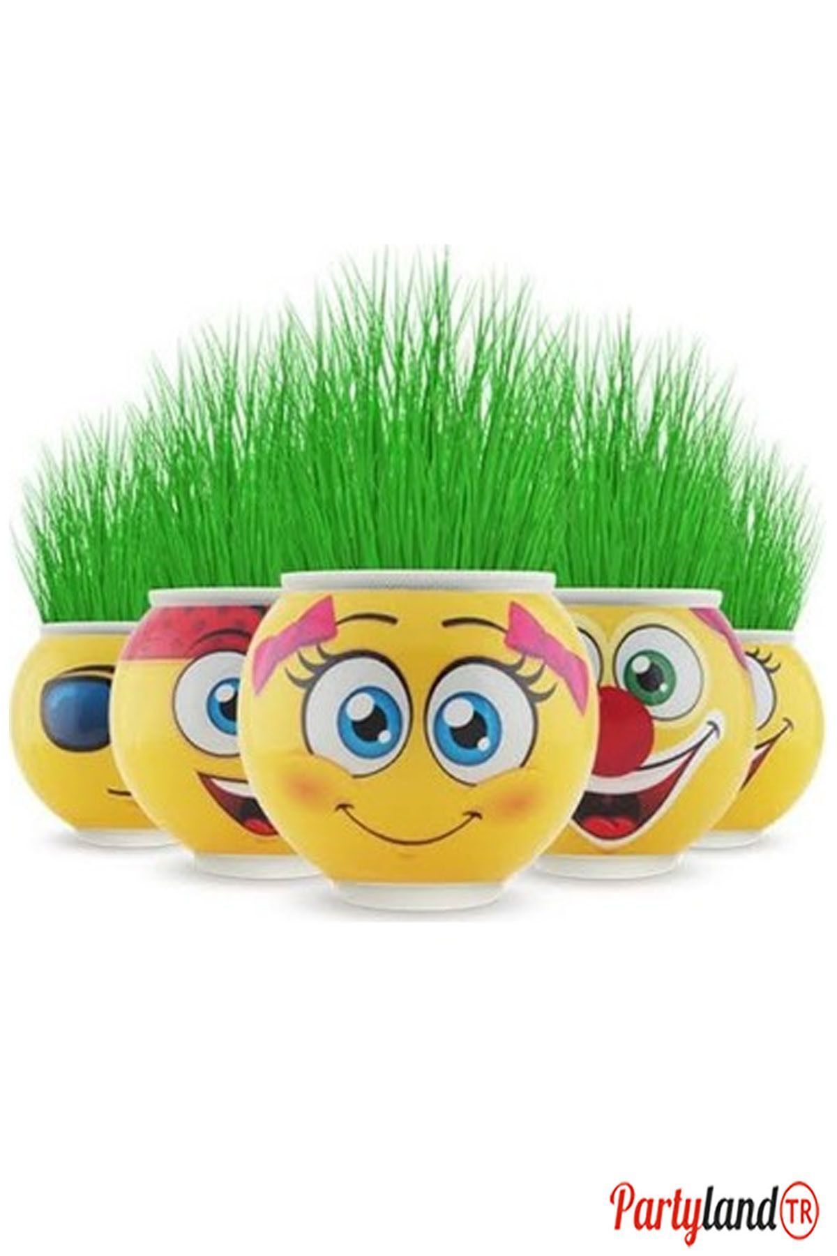 فیگور EMOJI GRASS MAN 5 PIECES از ترکیه PartylandTR