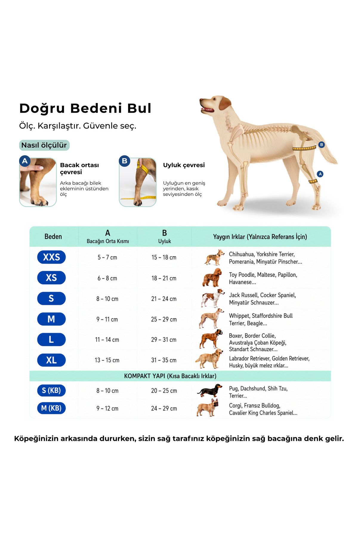 زانوبند سگ برای پای عقب چپ با بند ضربدری، فیکو پتس Fico Pets مدل SBL چندرنگ
