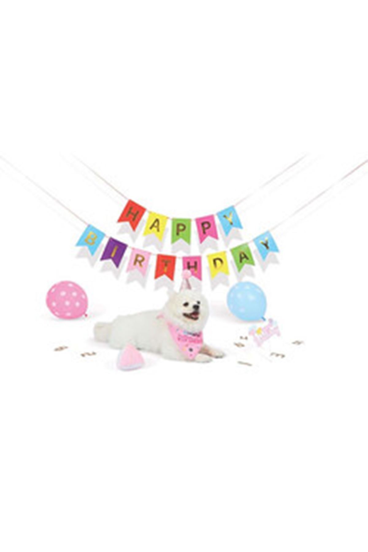 ست تولد سگ ماده ام‌پتس M-PETS