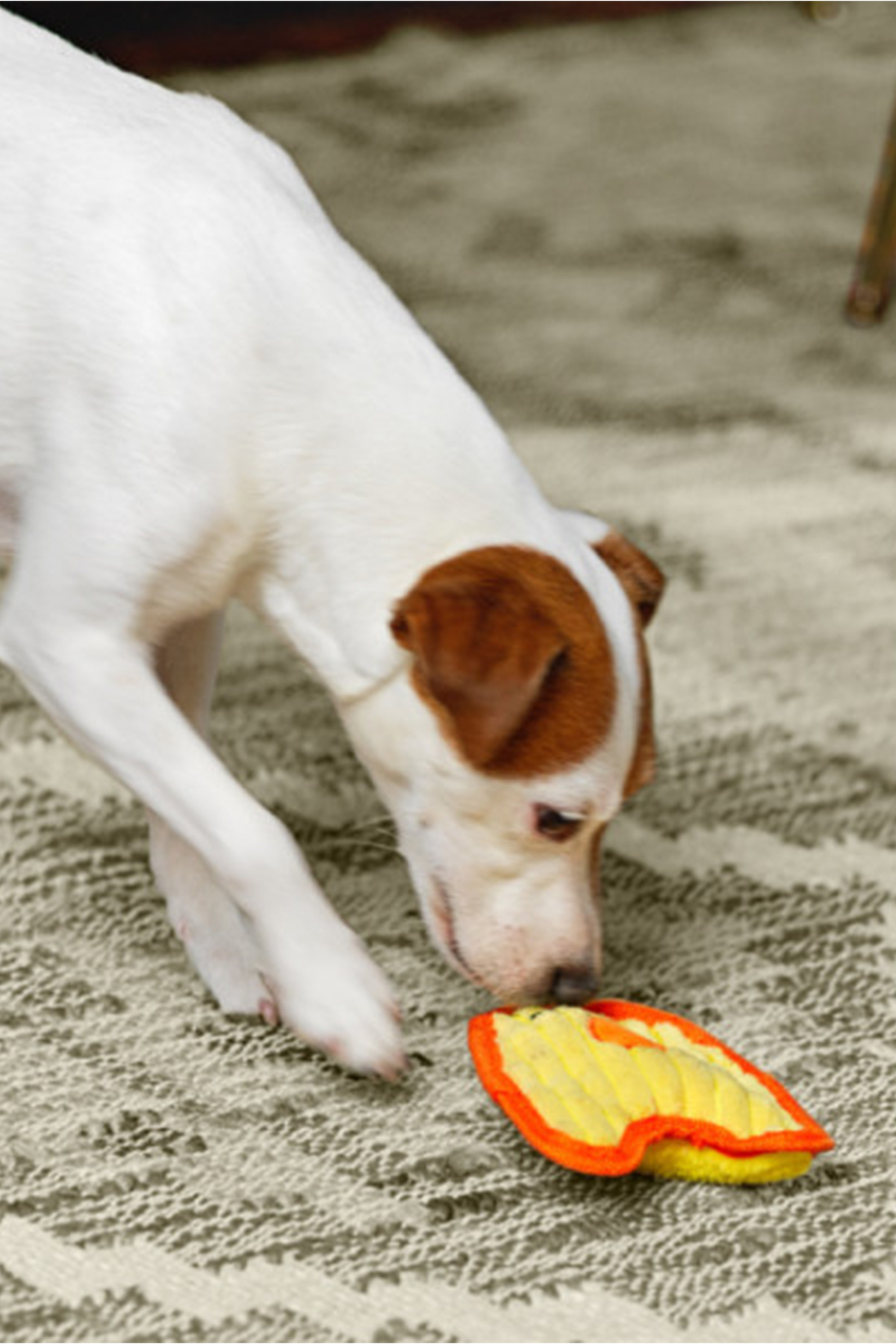اسباب‌بازی سگ اوتوارد هاوند Outward Hound، سری Invincibles Durablez Chicky چندرنگ