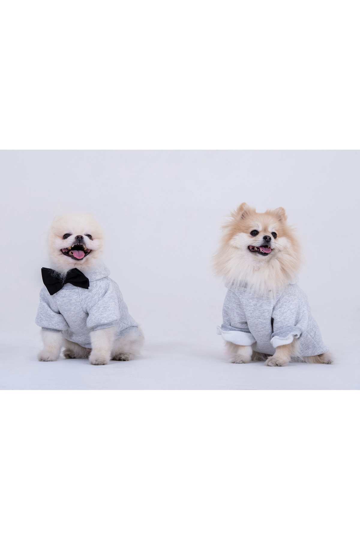 ست سویشرت کلاه‌دار هماهنگ پا بوتیک Paw Butik برای خانم، آقا و حیوان خانگی، طوسی، سایز S/M (حیوان خانگی S)