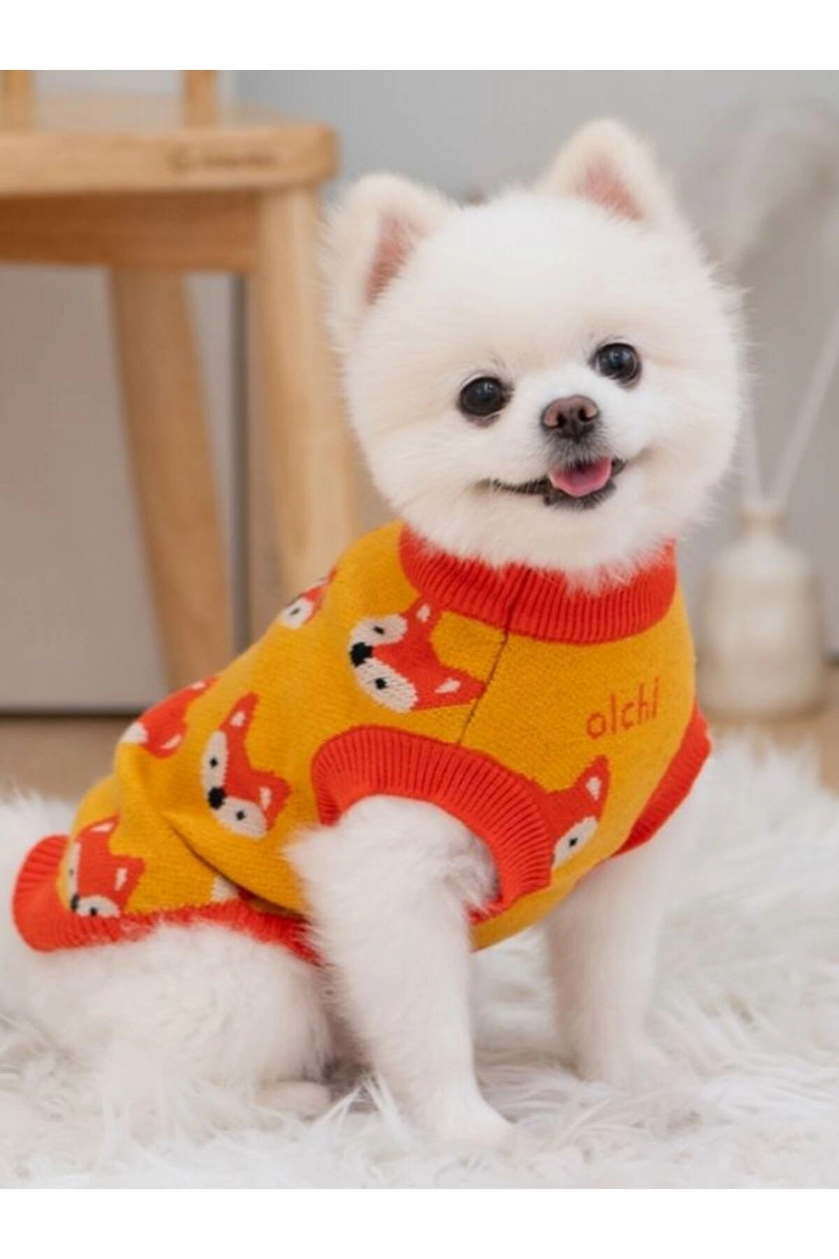 لباس بافتنی سگ اولچی Olchi Friends Knit، نارنجی، مدل OAYD-KN6738