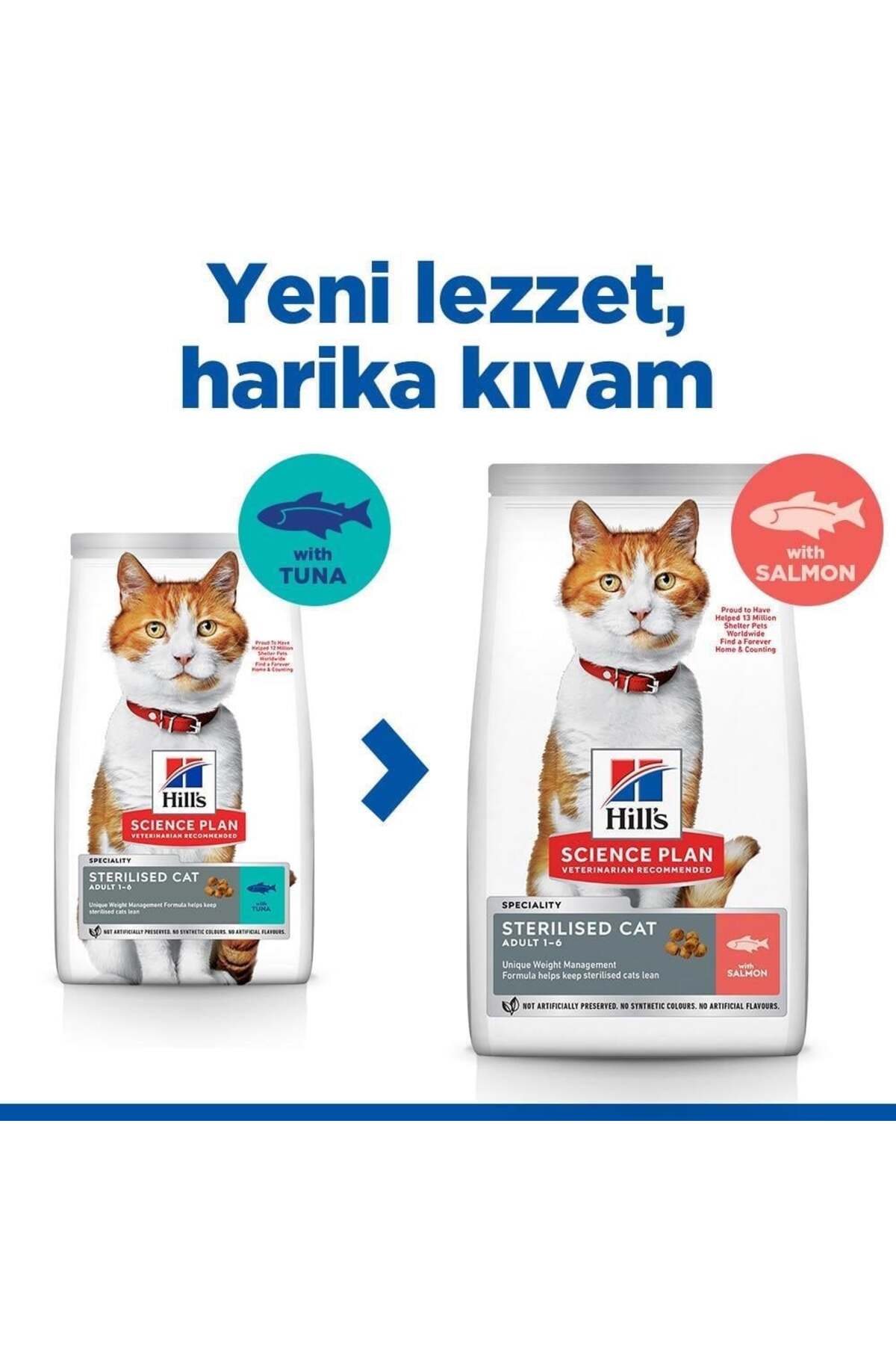 غذای خشک گربه عقیم‌شده هیلز Hill's با طعم سالمون، ۱۰ کیلوگرم